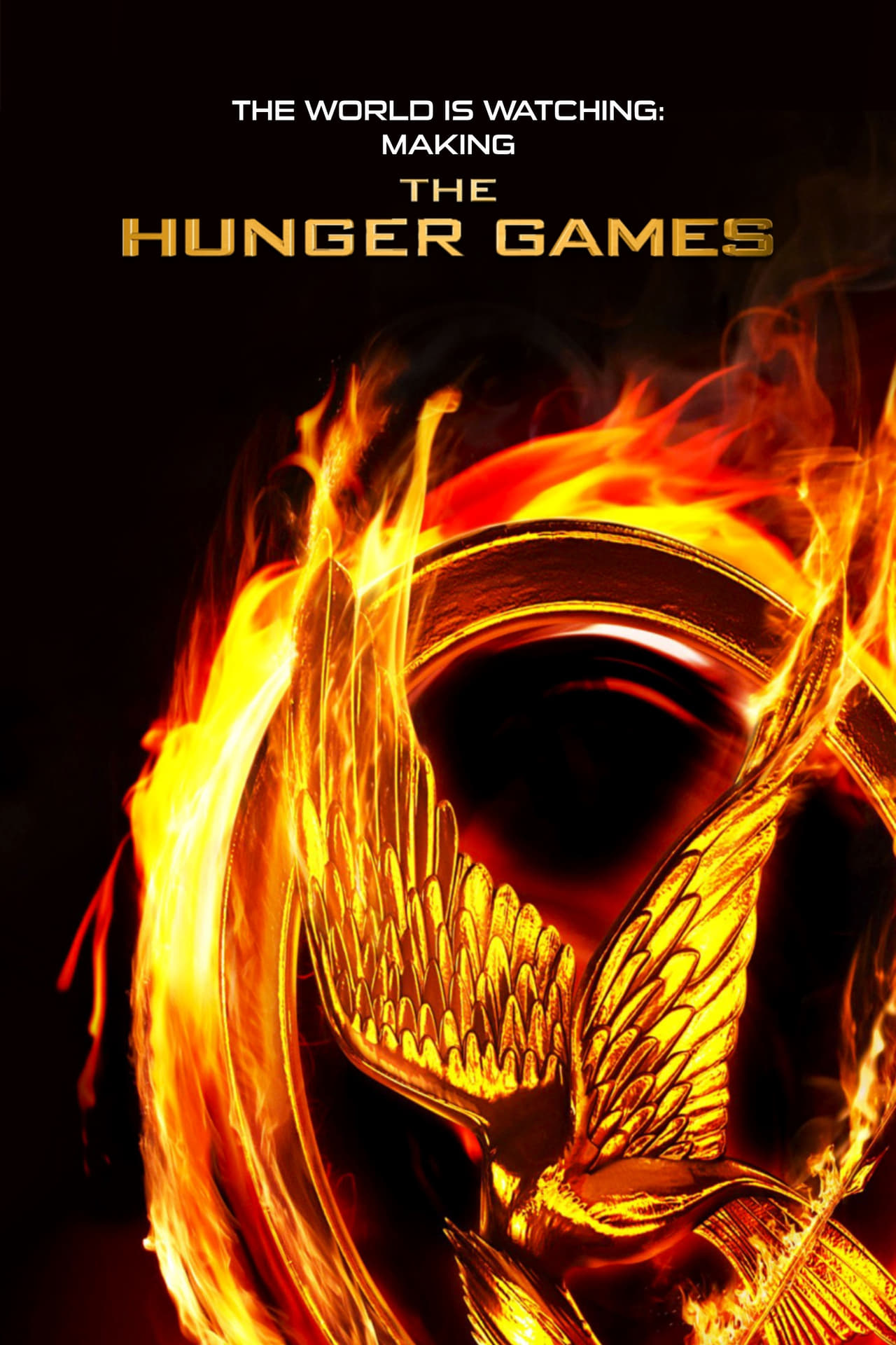 Película The World Is Watching: Making the Hunger Games