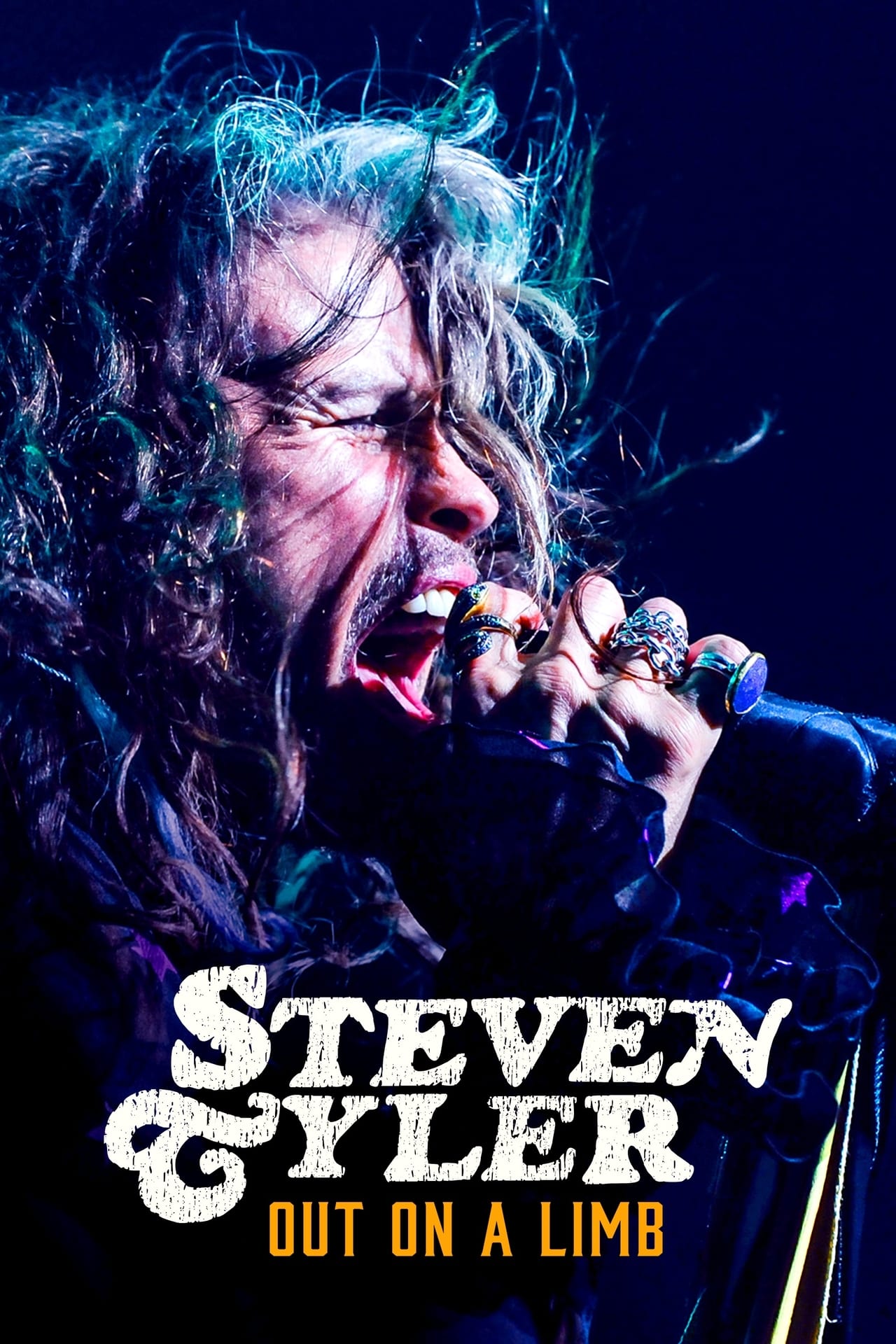 Movie Steven Tyler: Out on a Limb