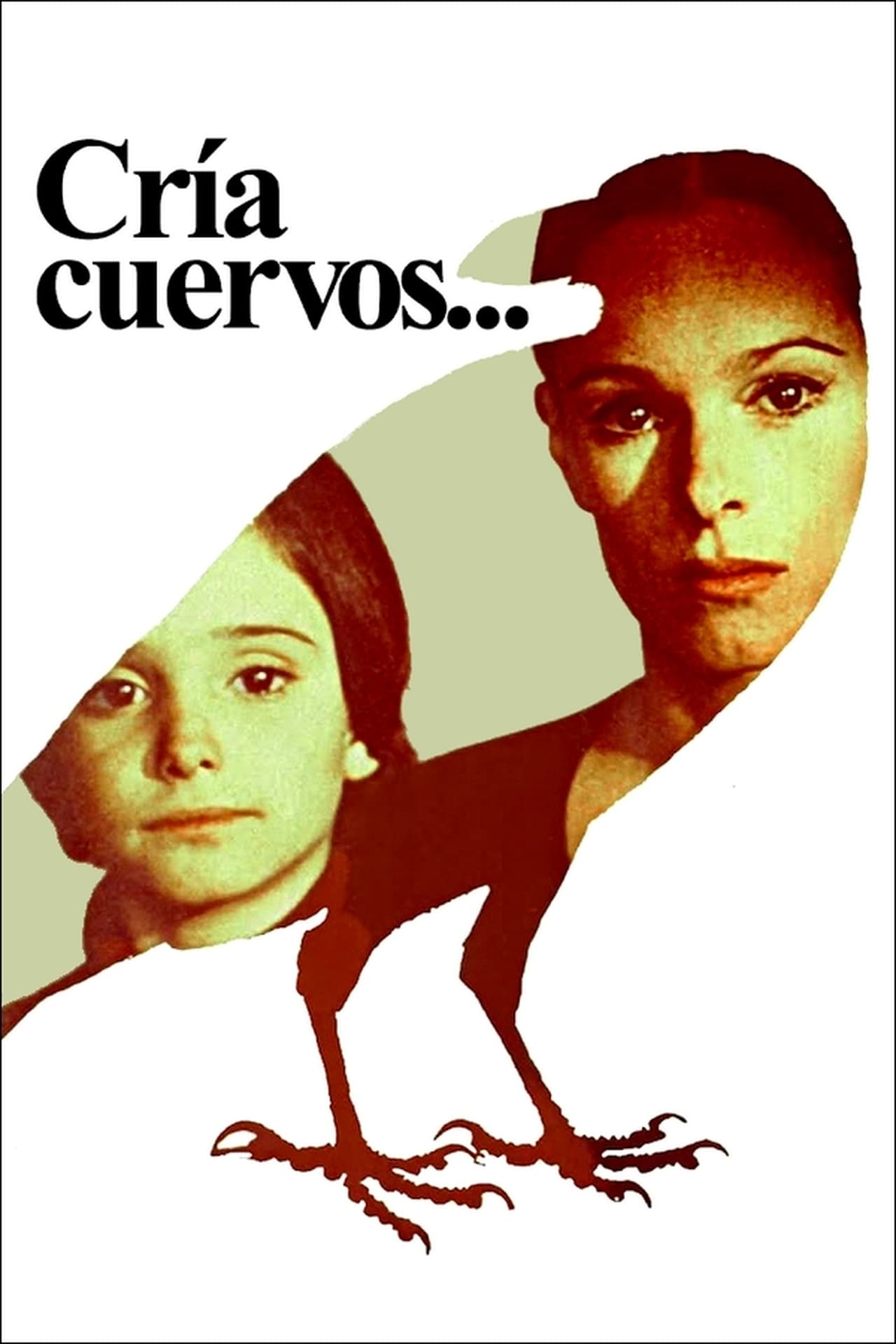 Película Cría cuervos