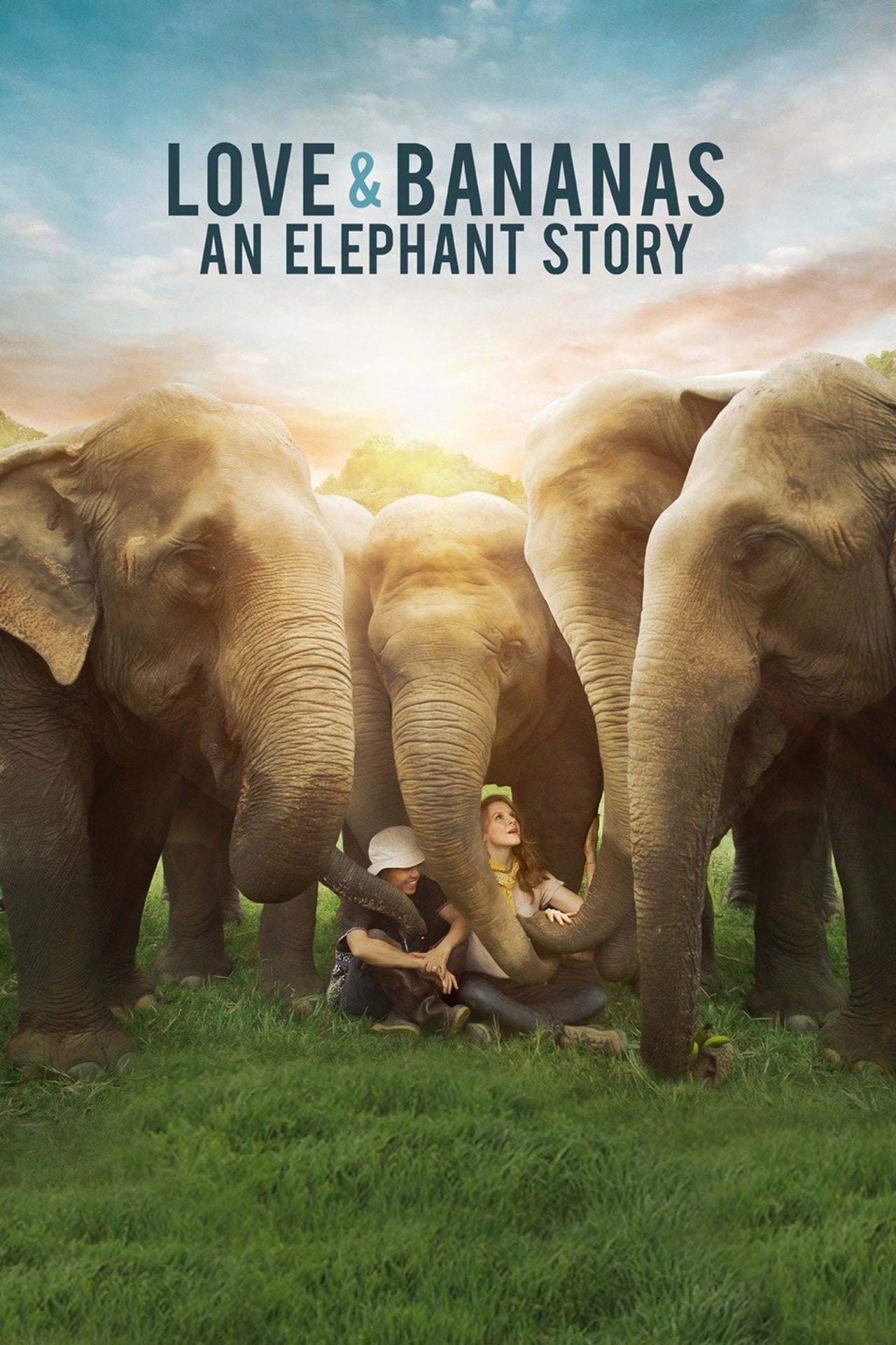 Películas Love & Bananas: An Elephant Story