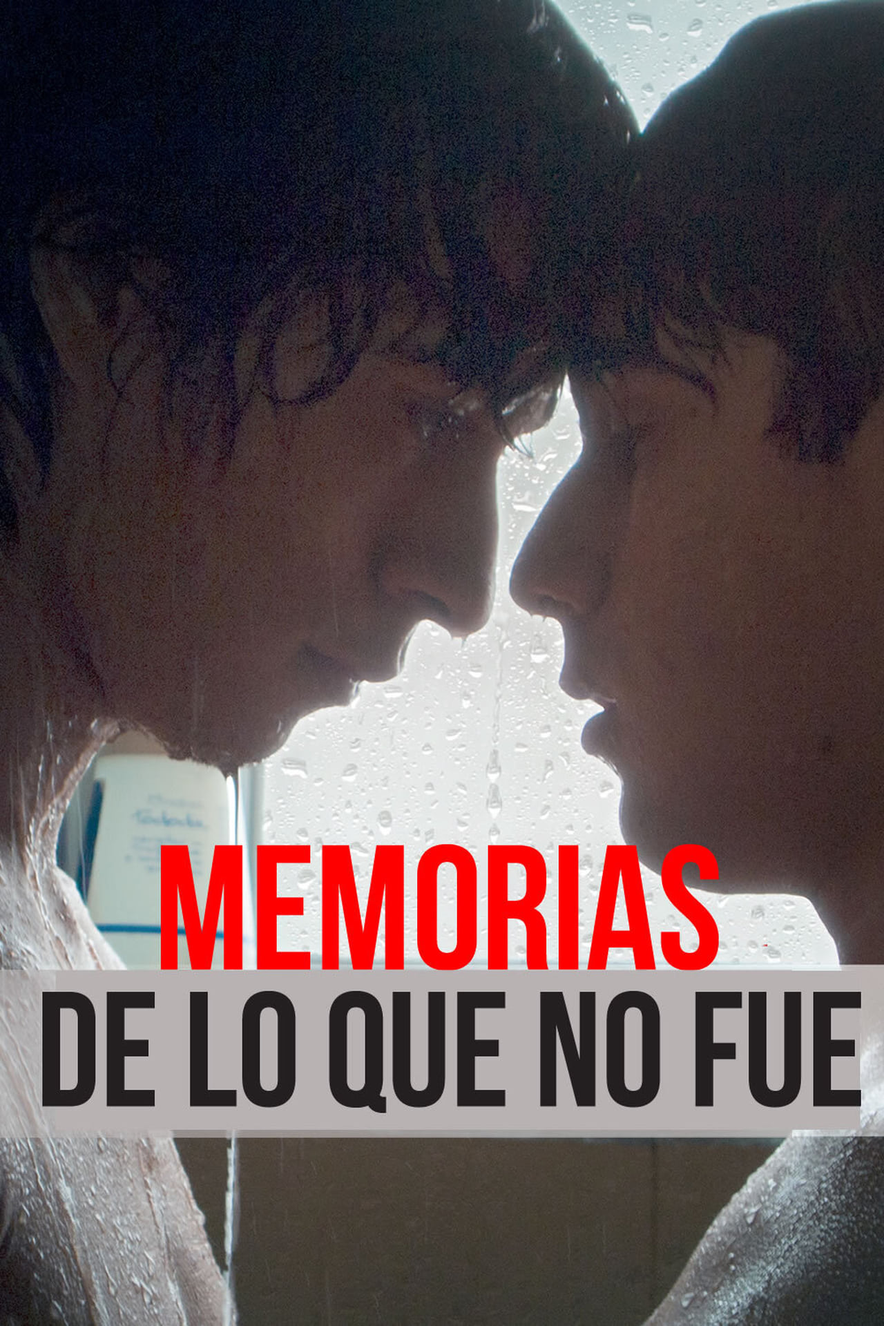 Movies Memorias de lo que no fue