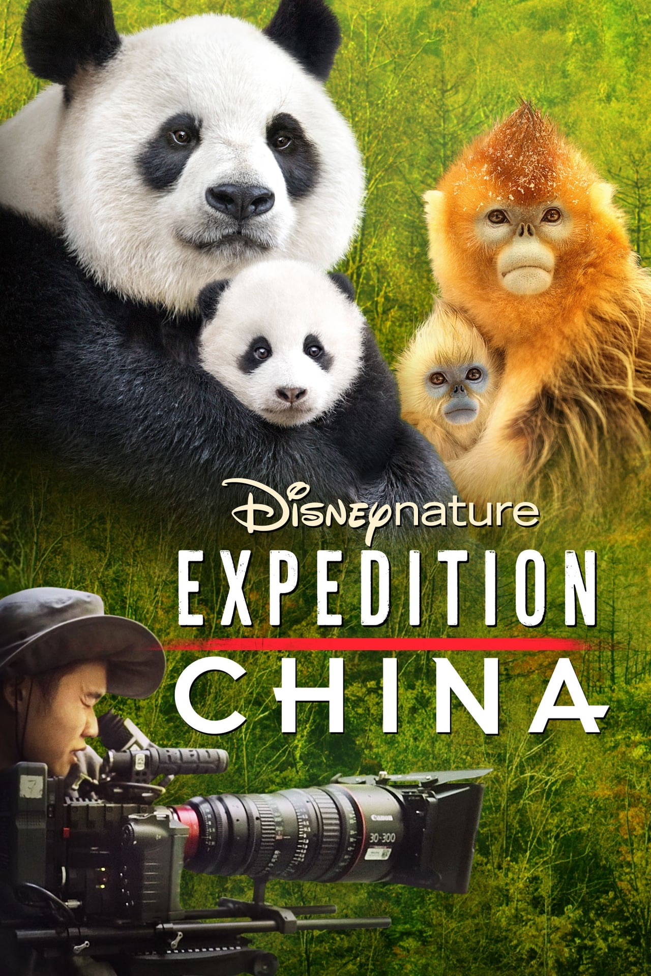 Movie Expedition China