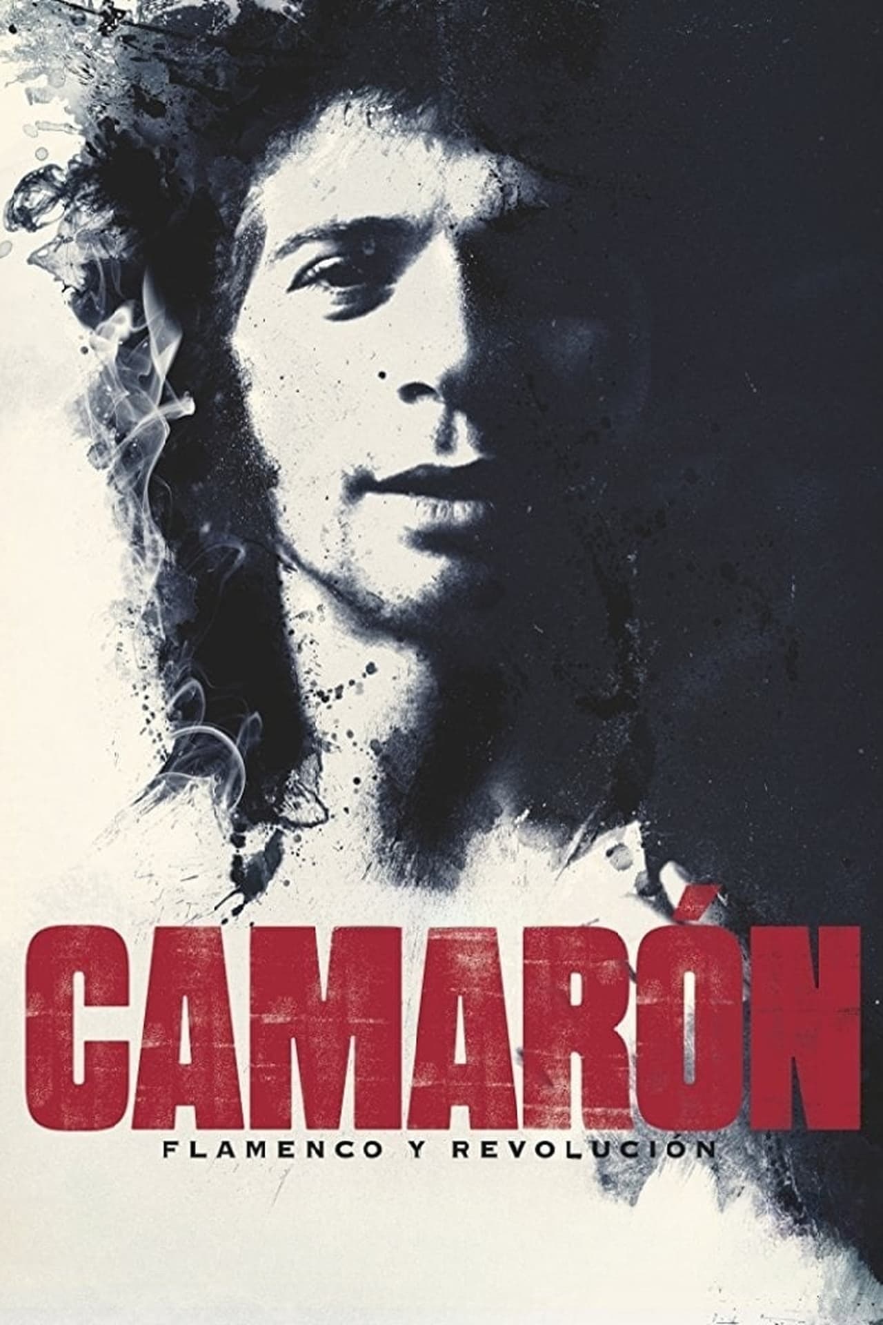 Movie Camarón: Flamenco y revolución