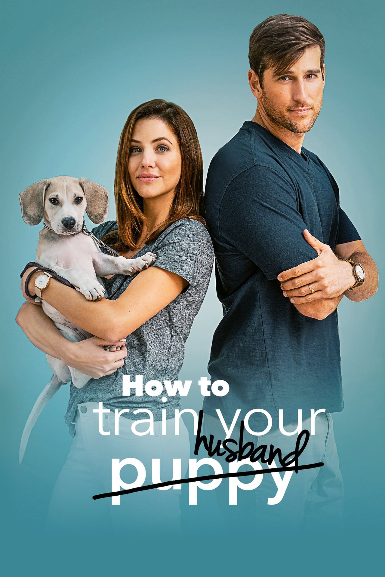 Película How to Train Your Husband