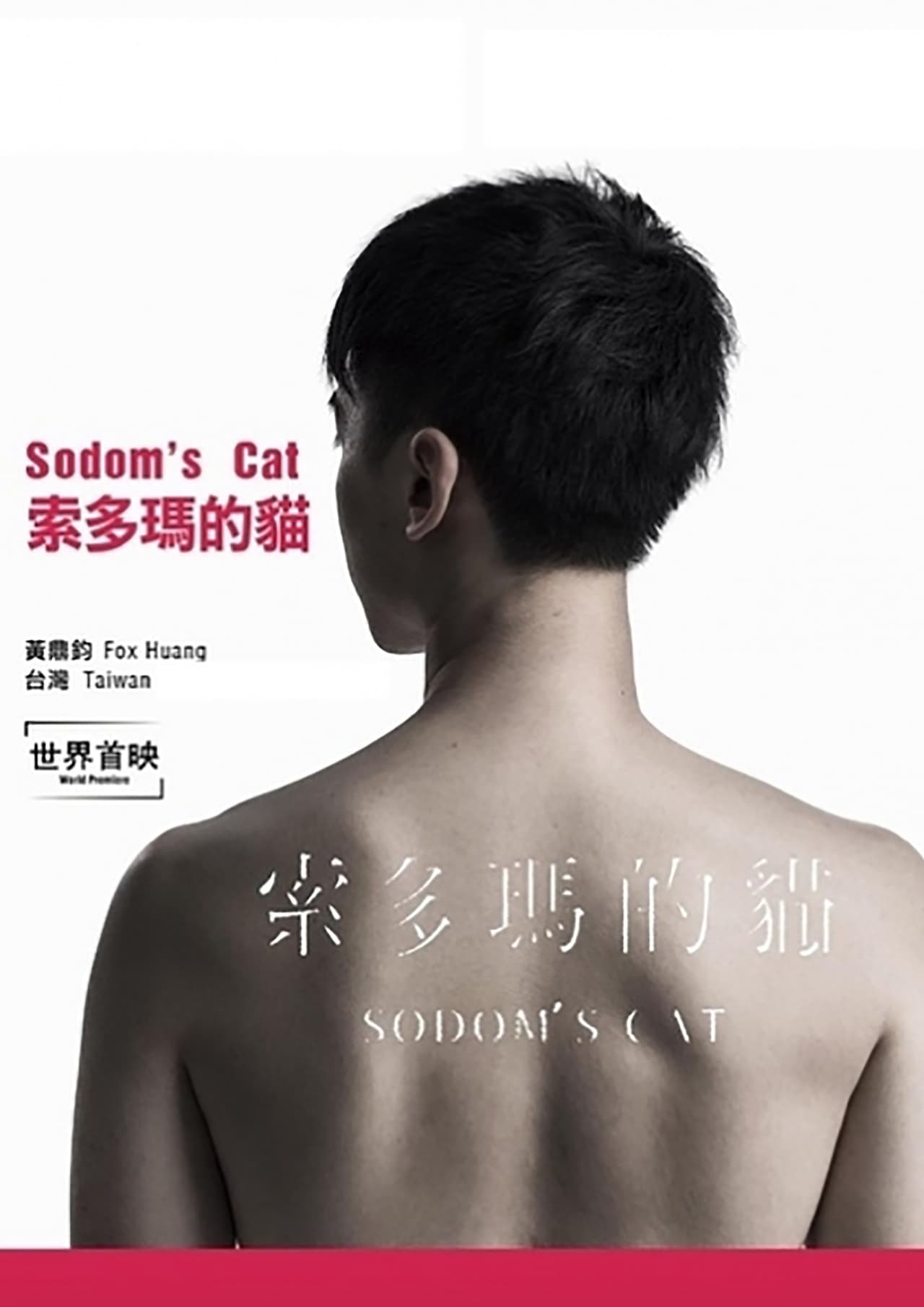 Movie 索多瑪的貓
