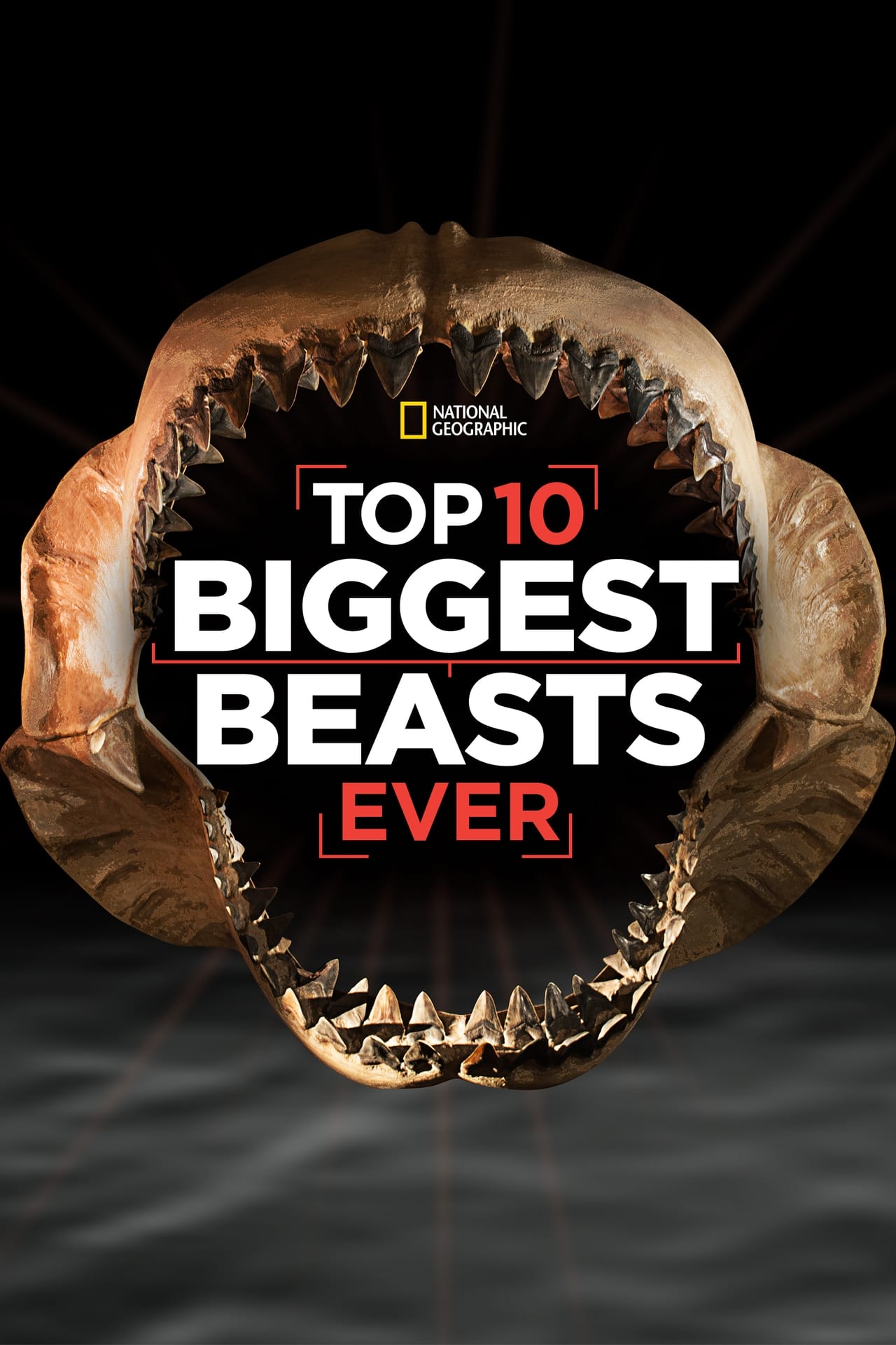 Movie Las diez bestias más grandes del mundo