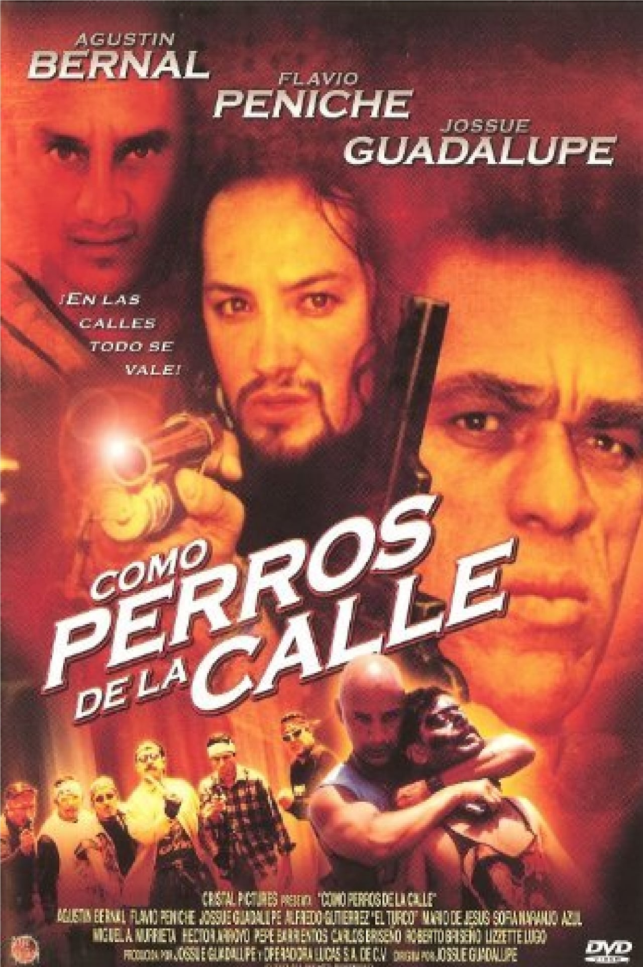 Movies Como Perros de la Calle