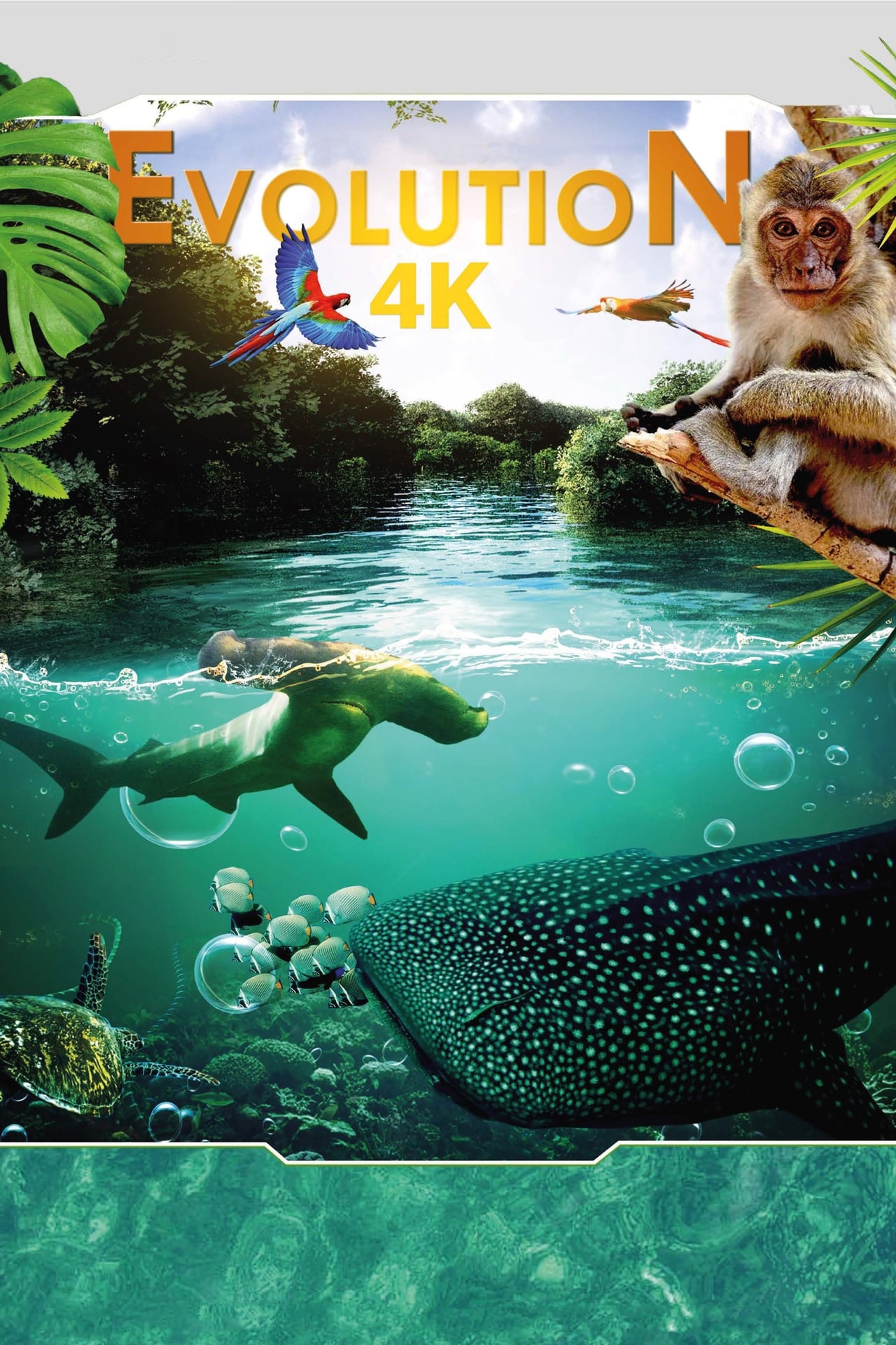 Movie Evolution 4K