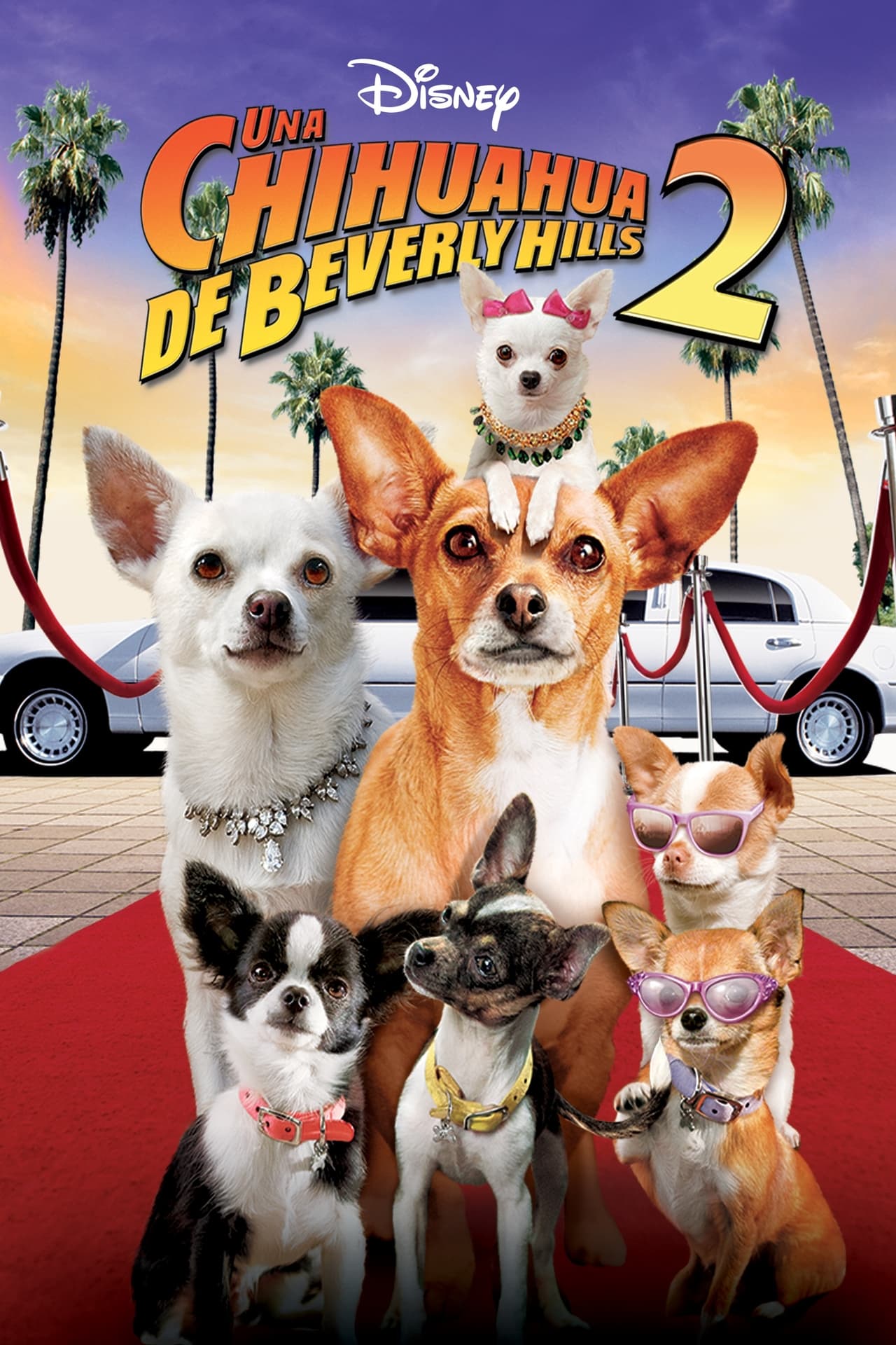 Película Un chihuahua en Beverly Hills 2