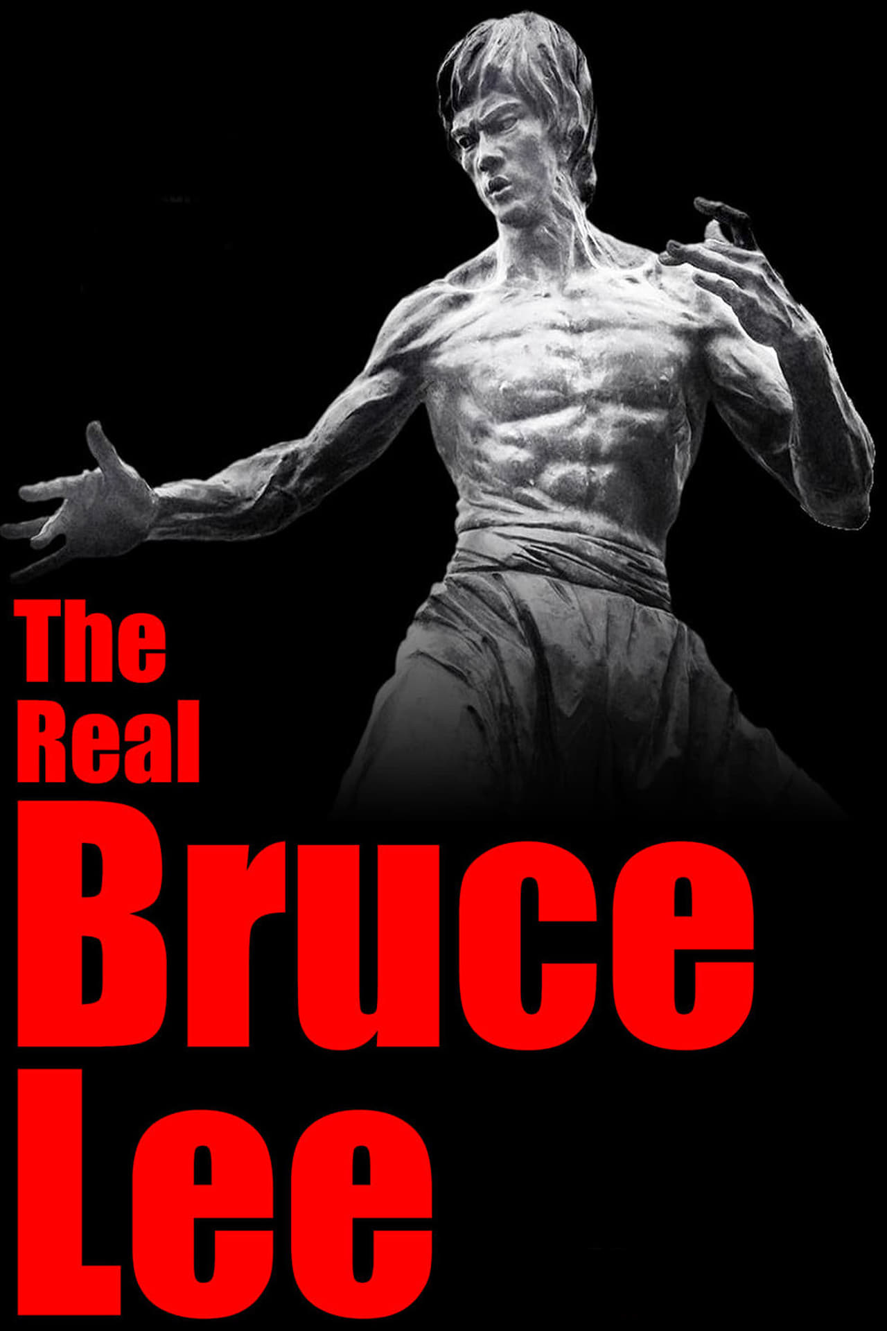 Movie The Real Bruce Lee