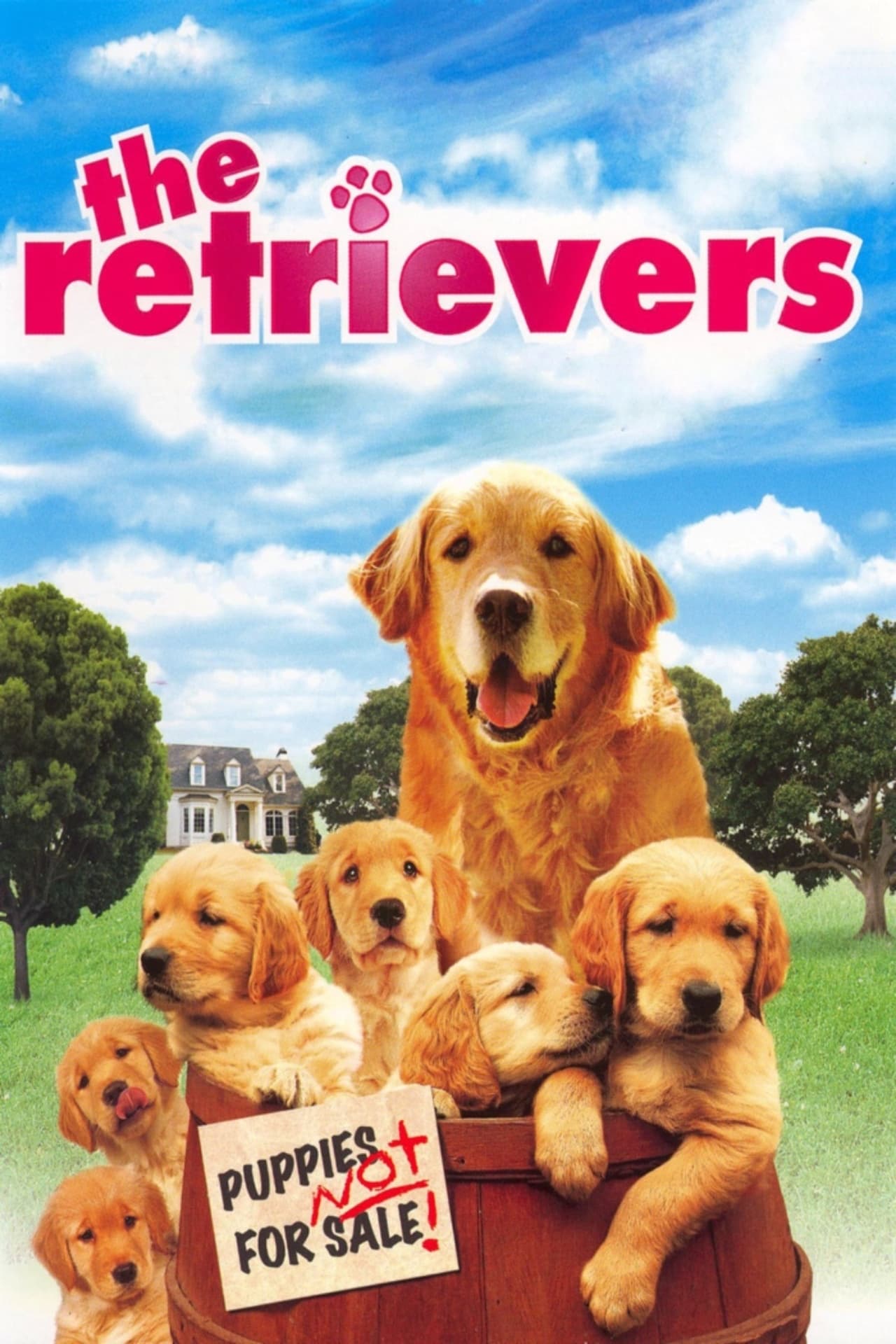 Película Un retriever y seis más