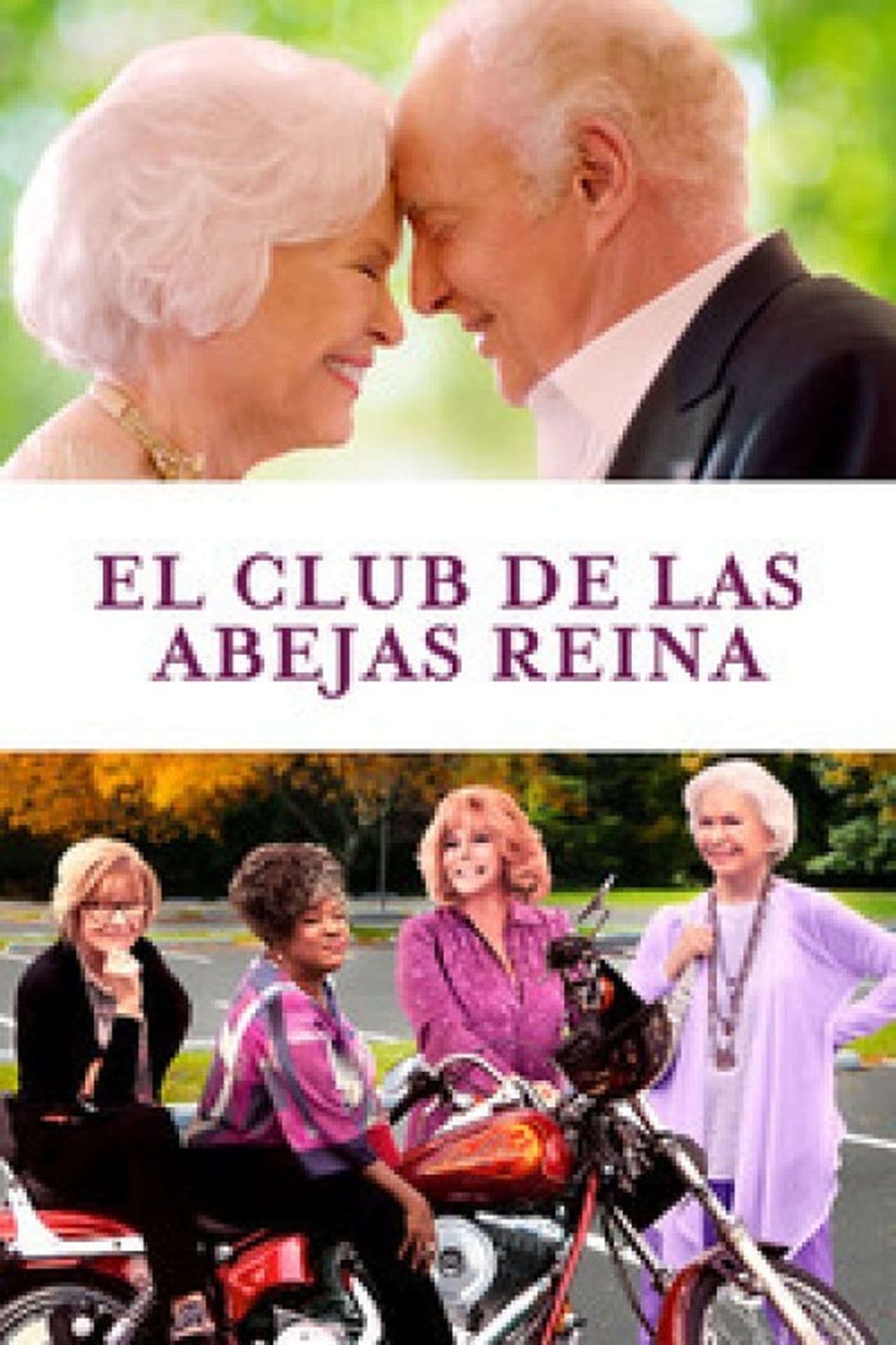 Películas El club de las abejas reina