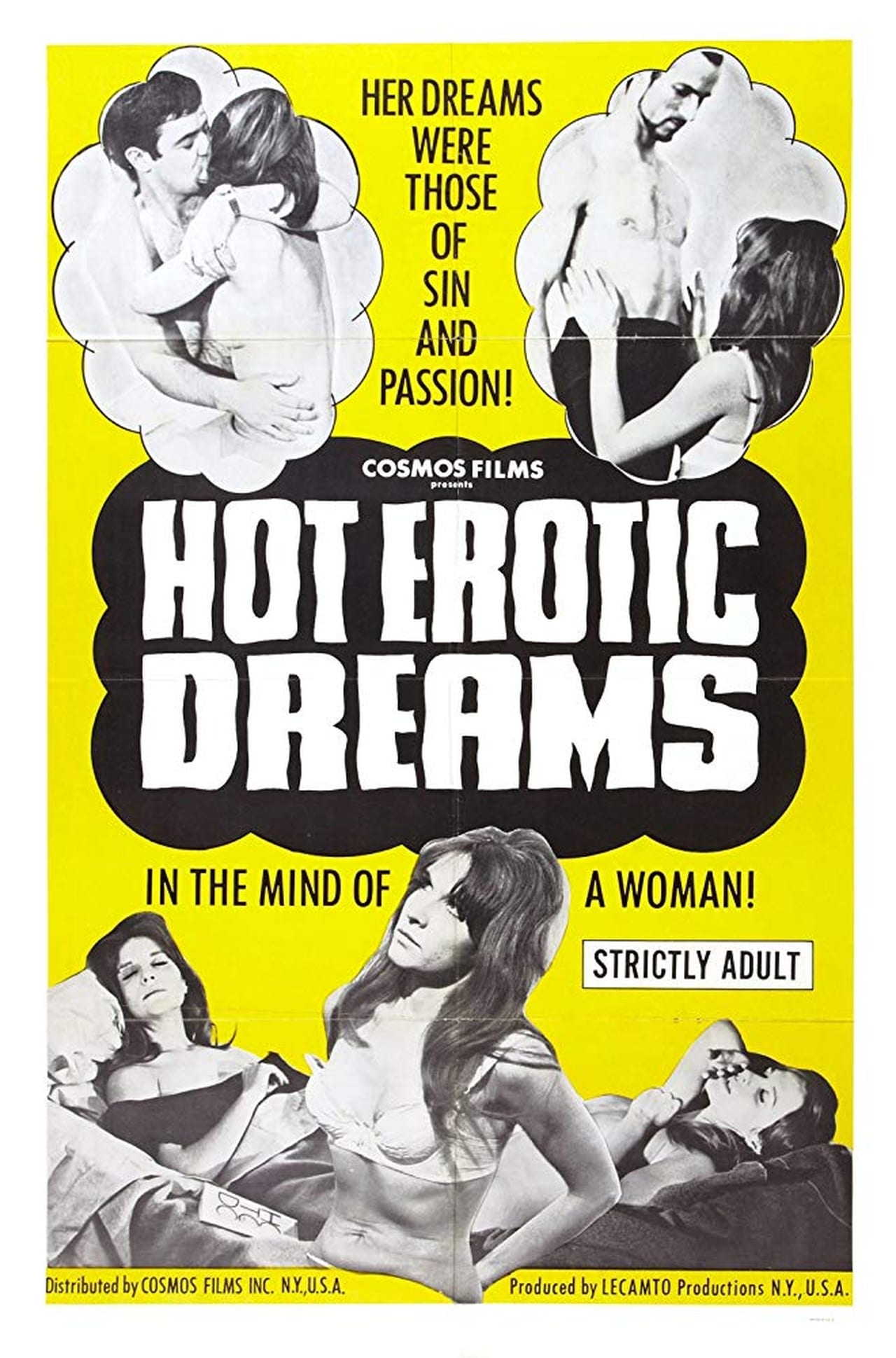 Películas Hot Erotic Dreams