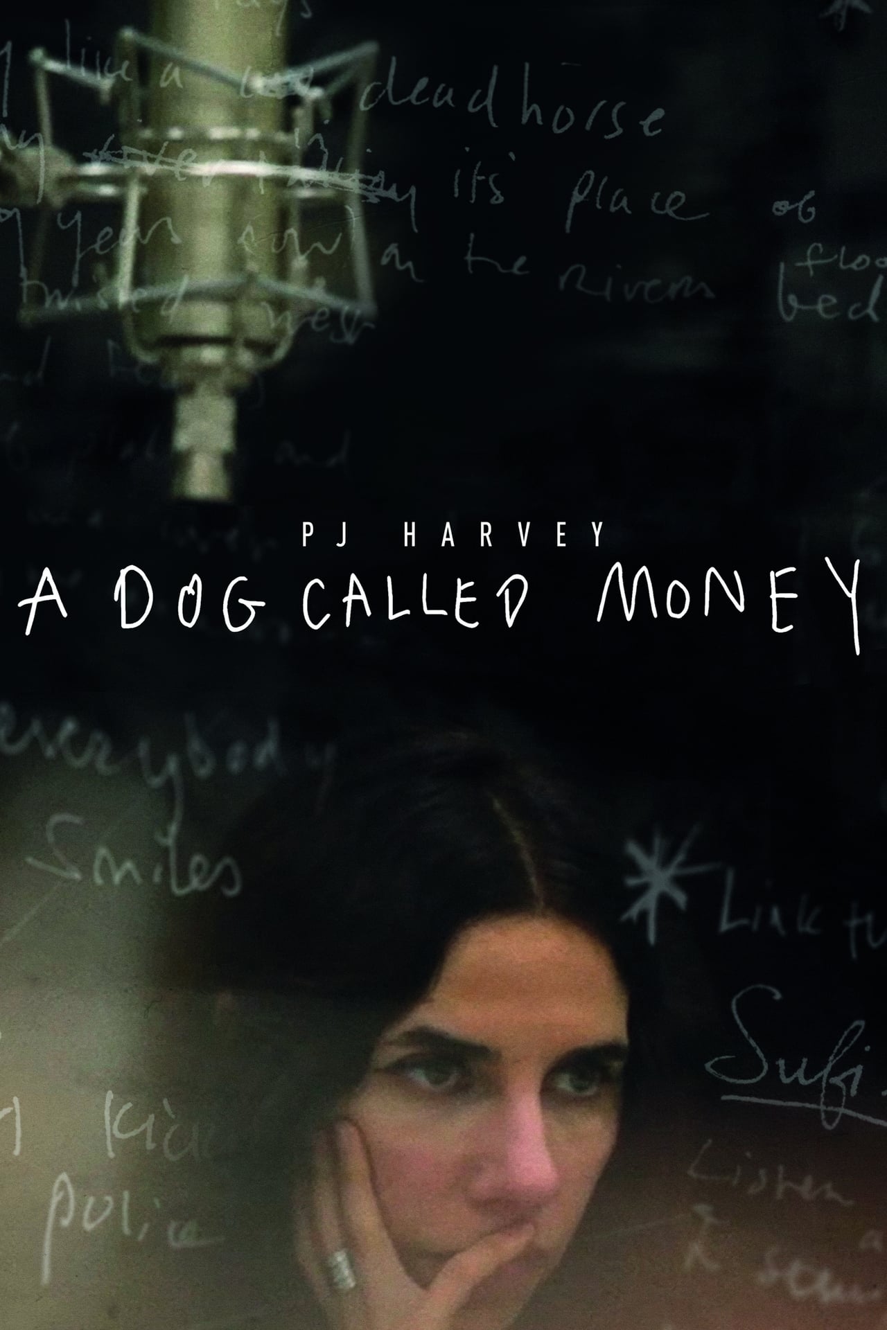 Movies PJ Harvey: A Dog Called Money