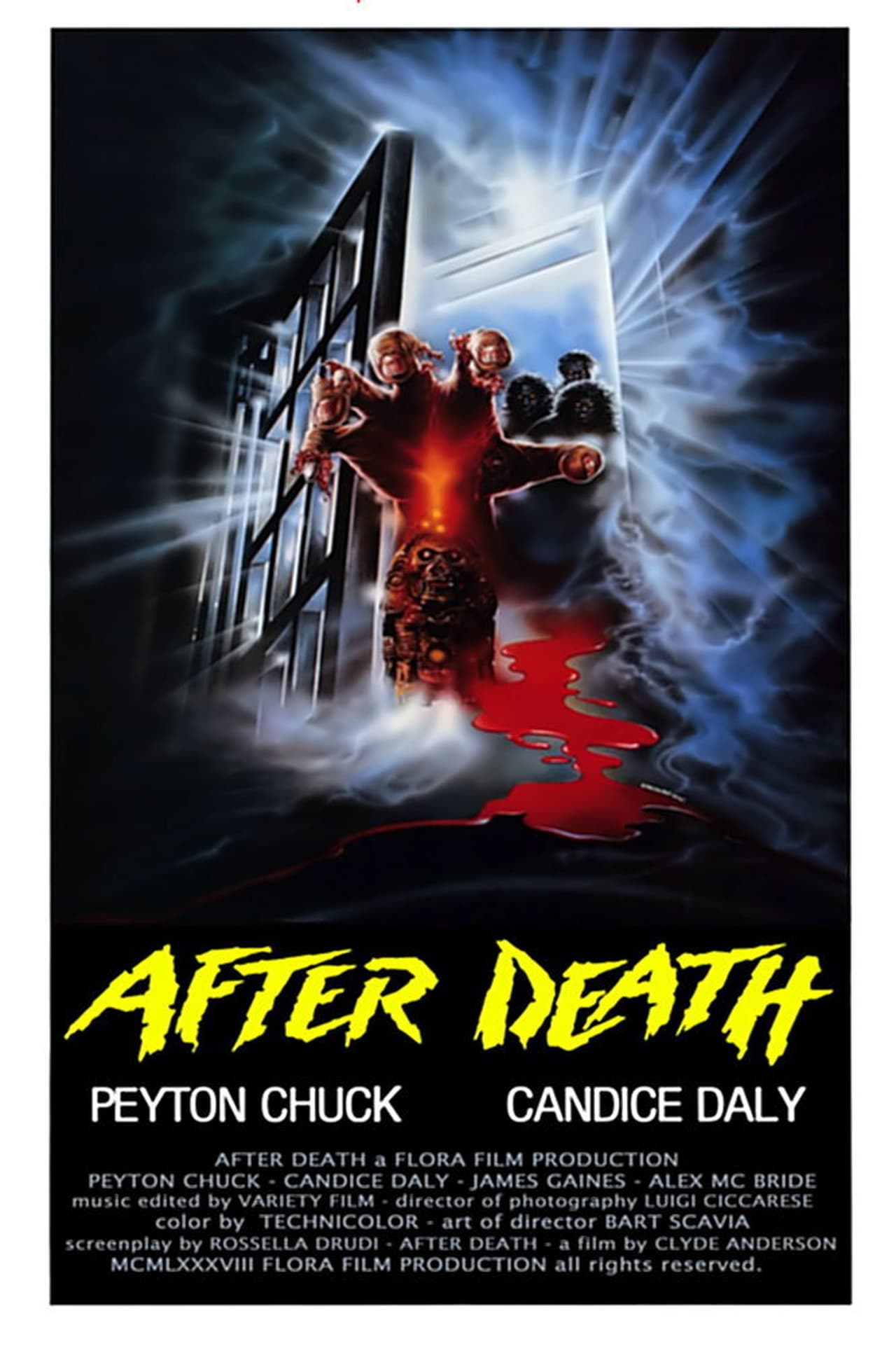 Película Zombi 4: After Death