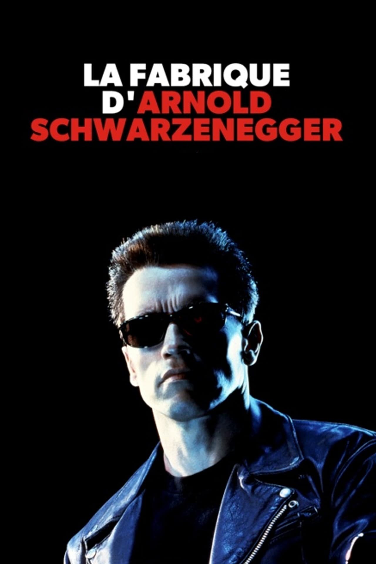 Películas La fabrique d'Arnold Schwarzenegger