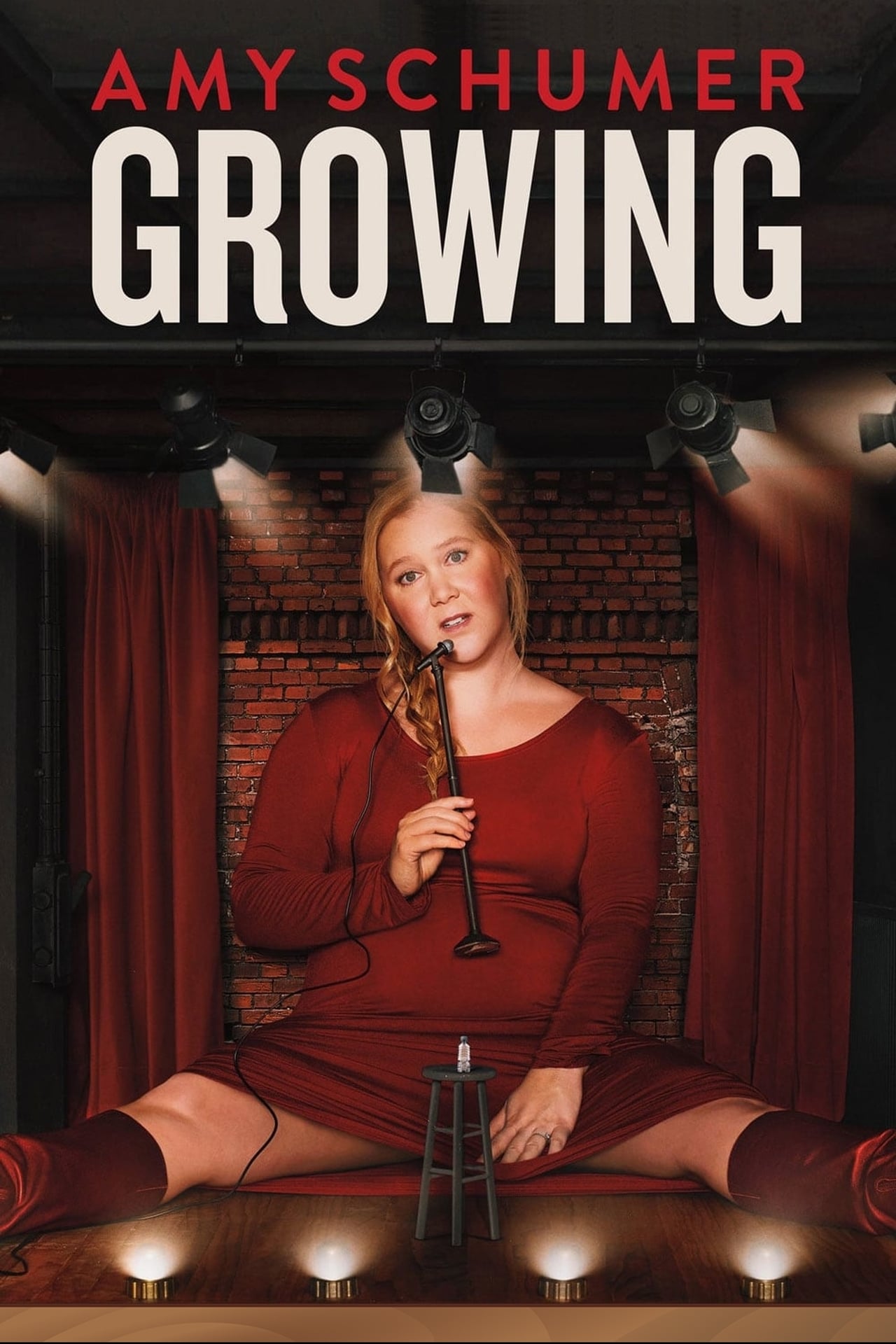 Películas Amy Schumer: Growing