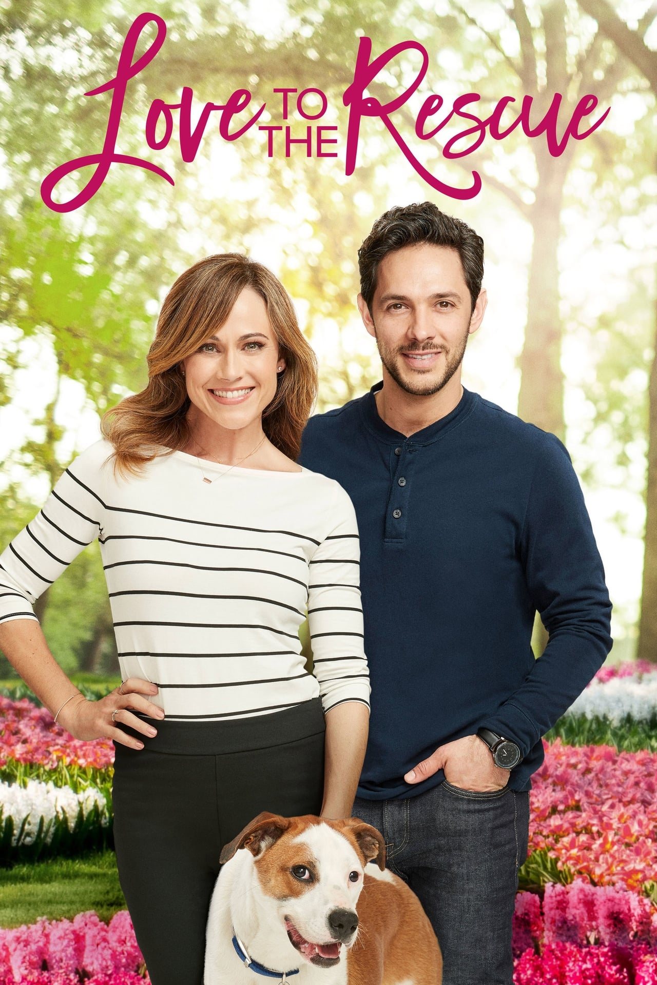 Movie Un amor inesperado