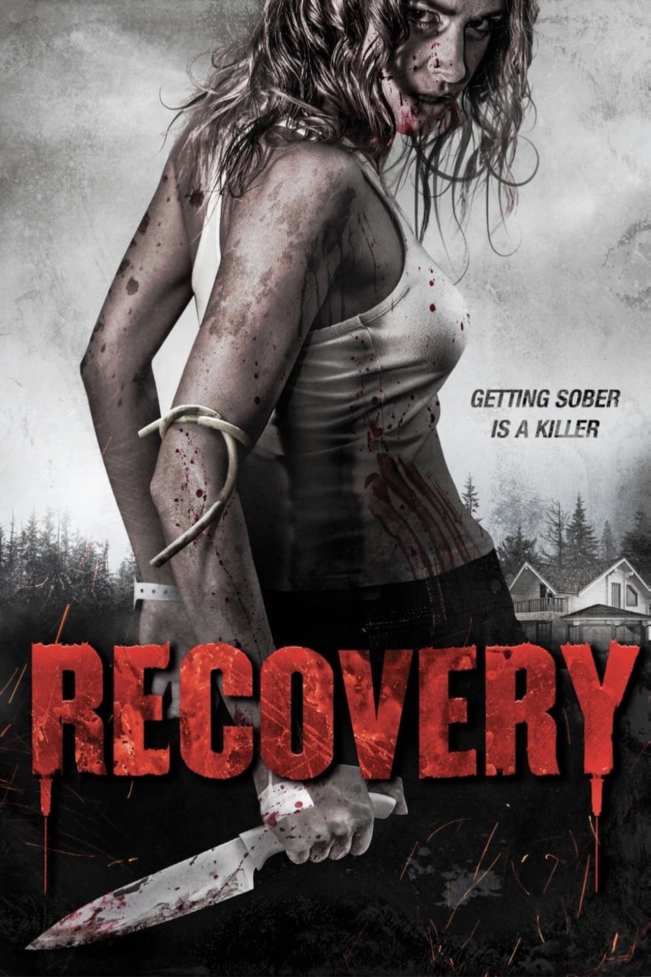 Películas Recovery