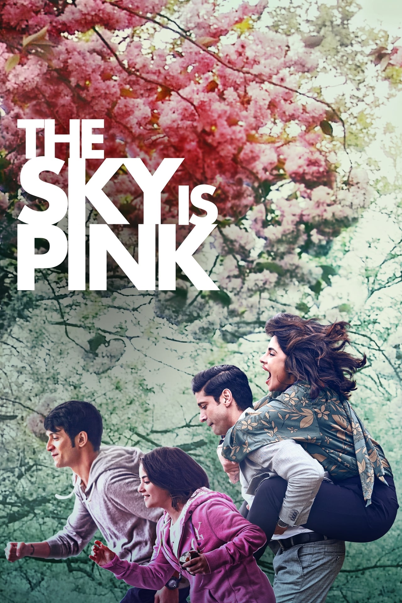 Película The Sky Is Pink