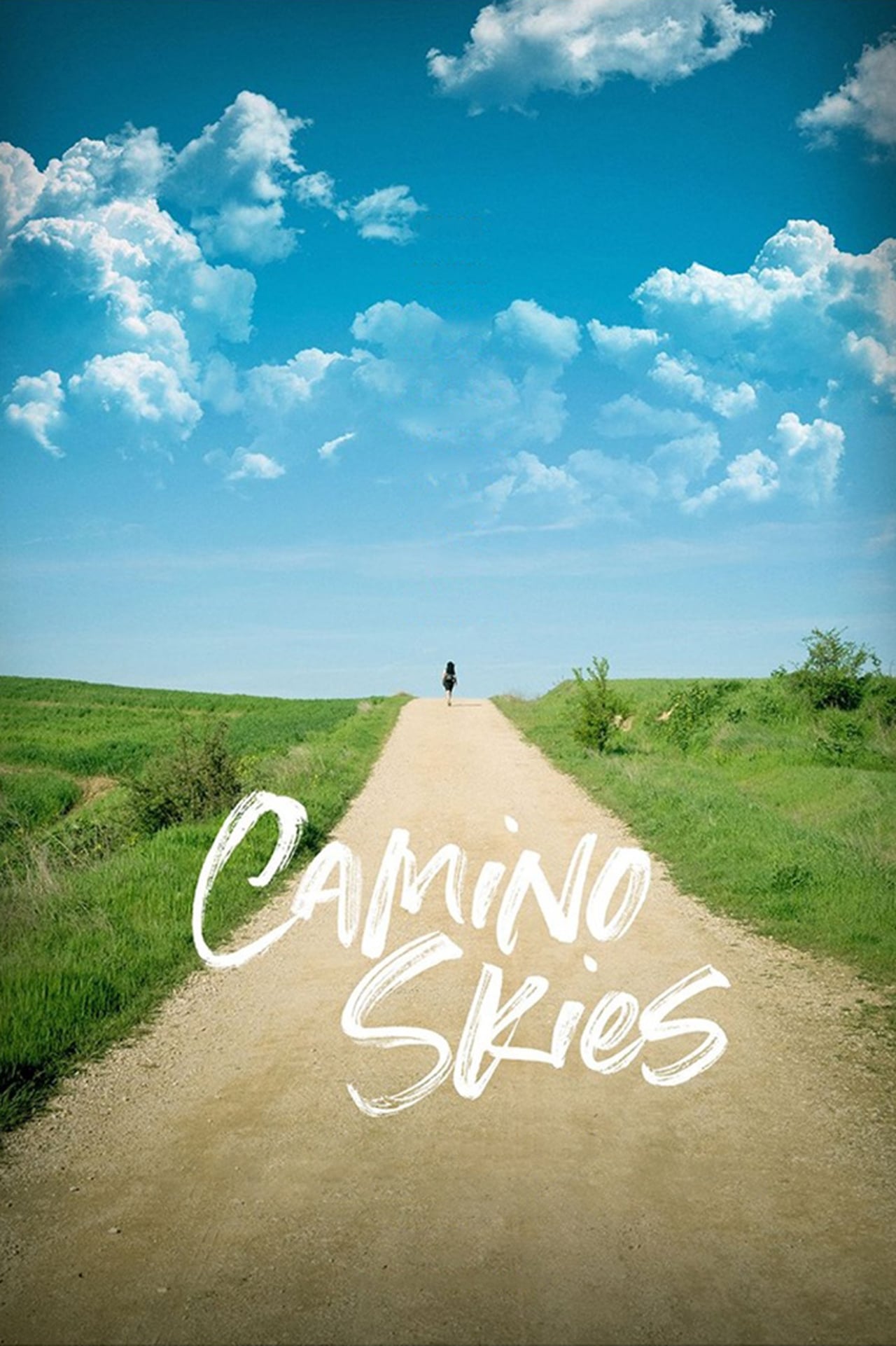 Movie Camino Skies