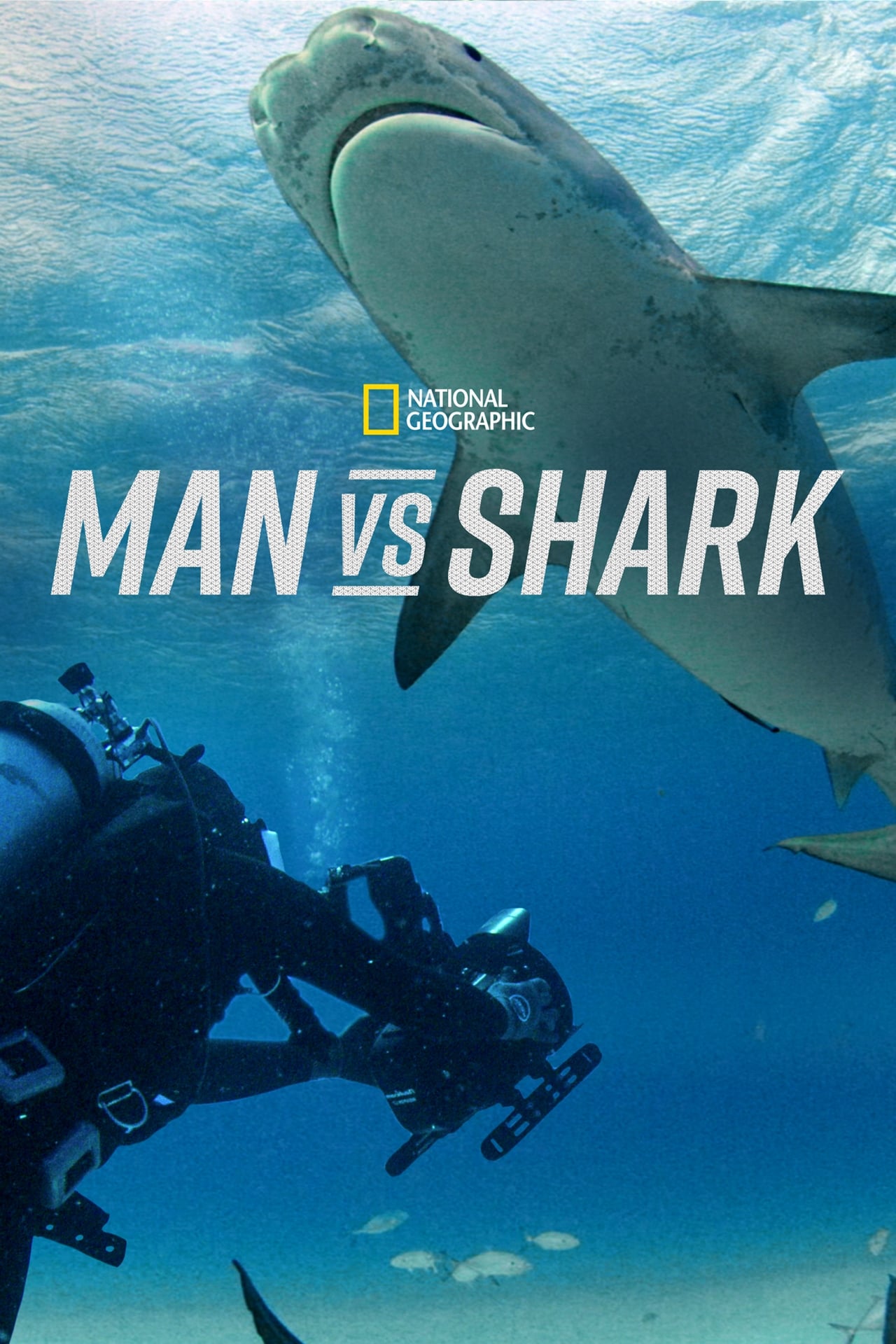 Movie Man vs. Shark