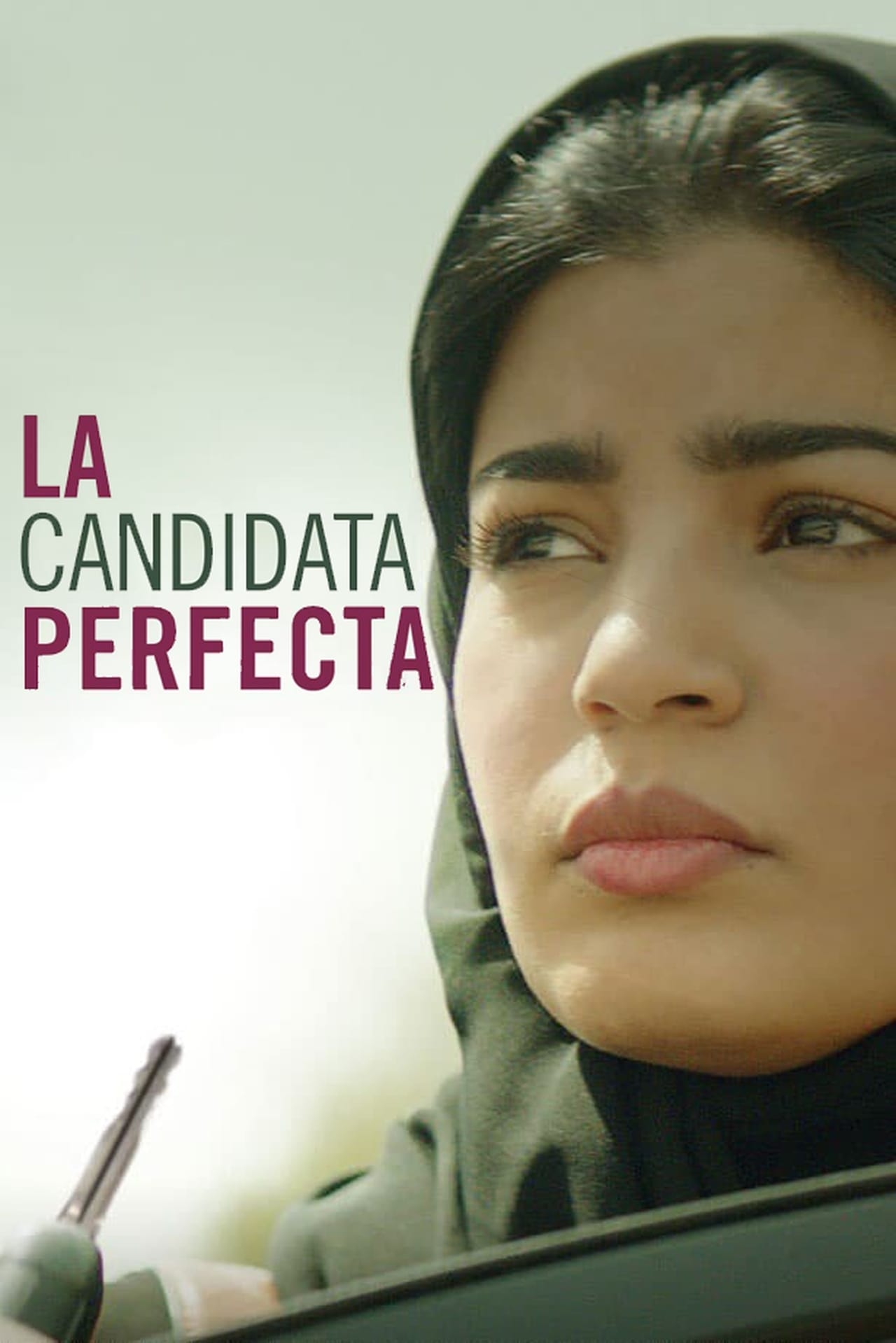 Película La candidata perfecta