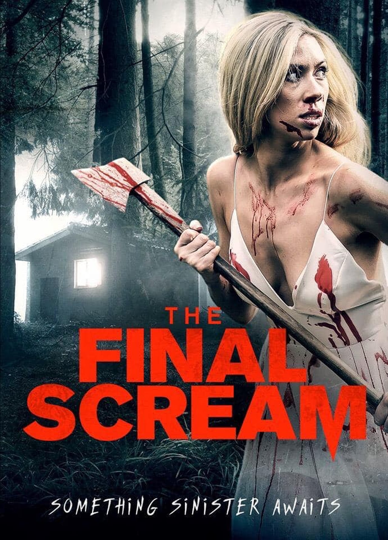 Película The Final Scream