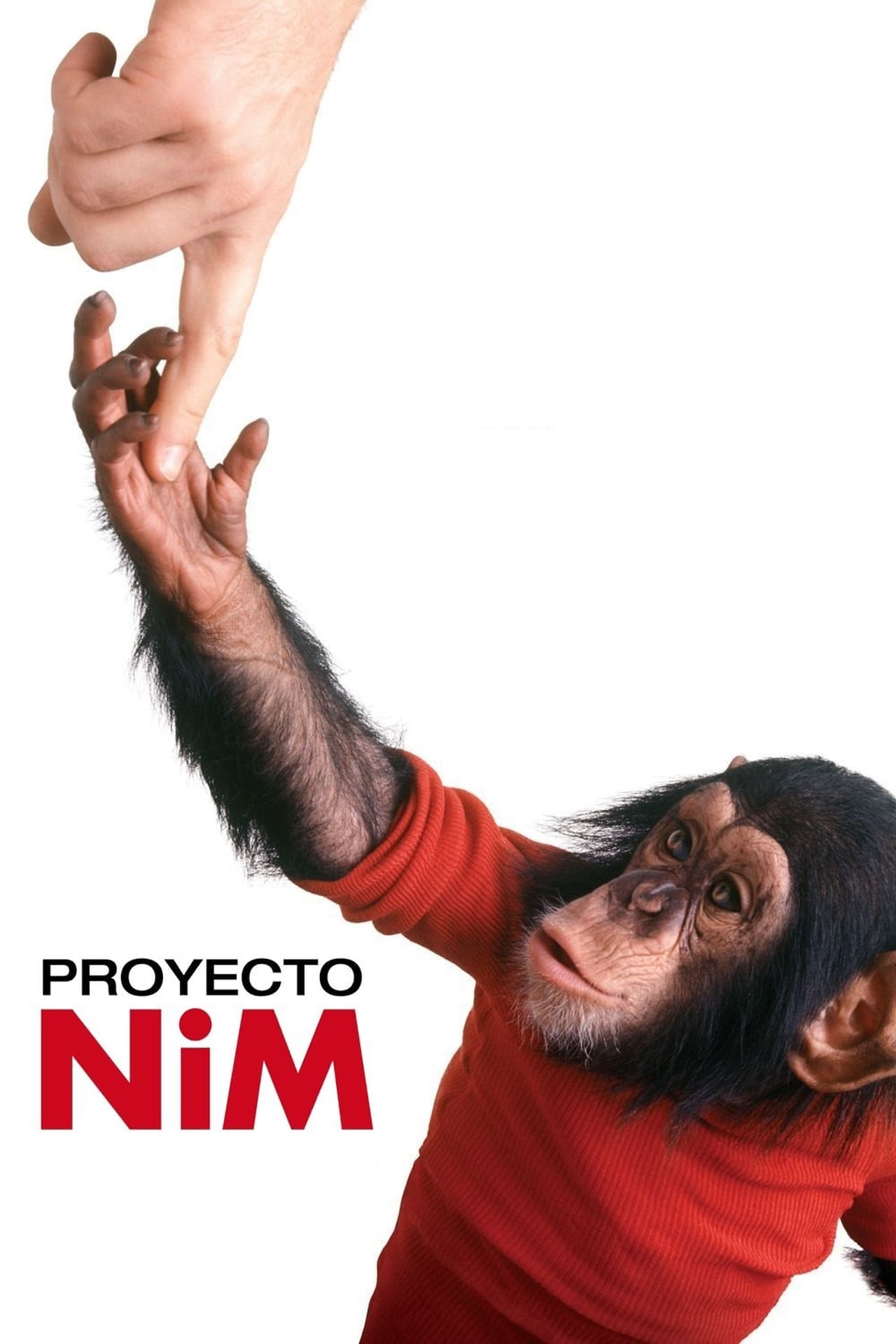 Movies Proyecto Nim