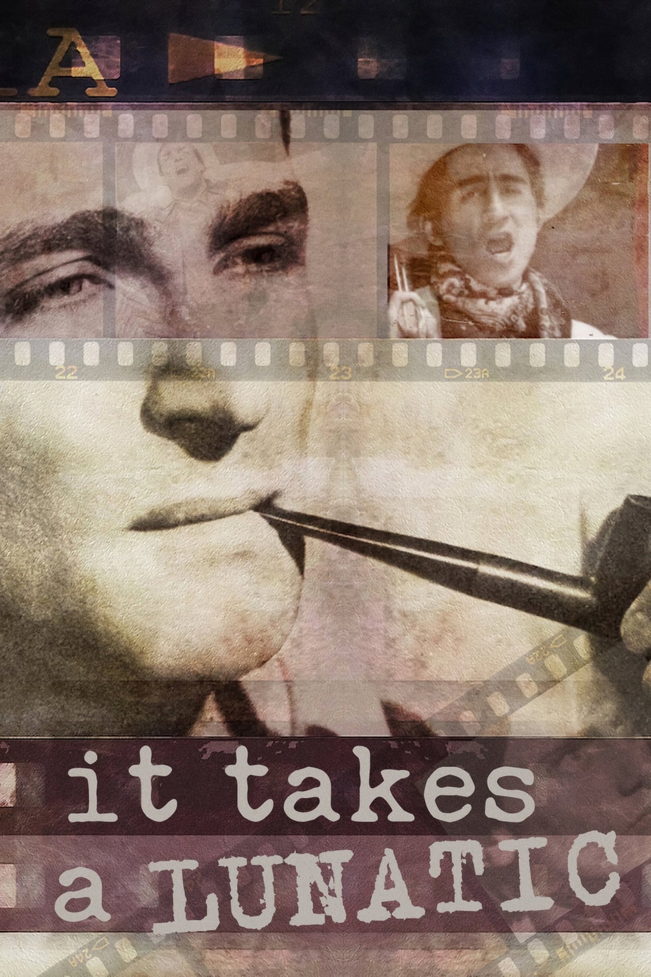 Movie It Takes a Lunatic