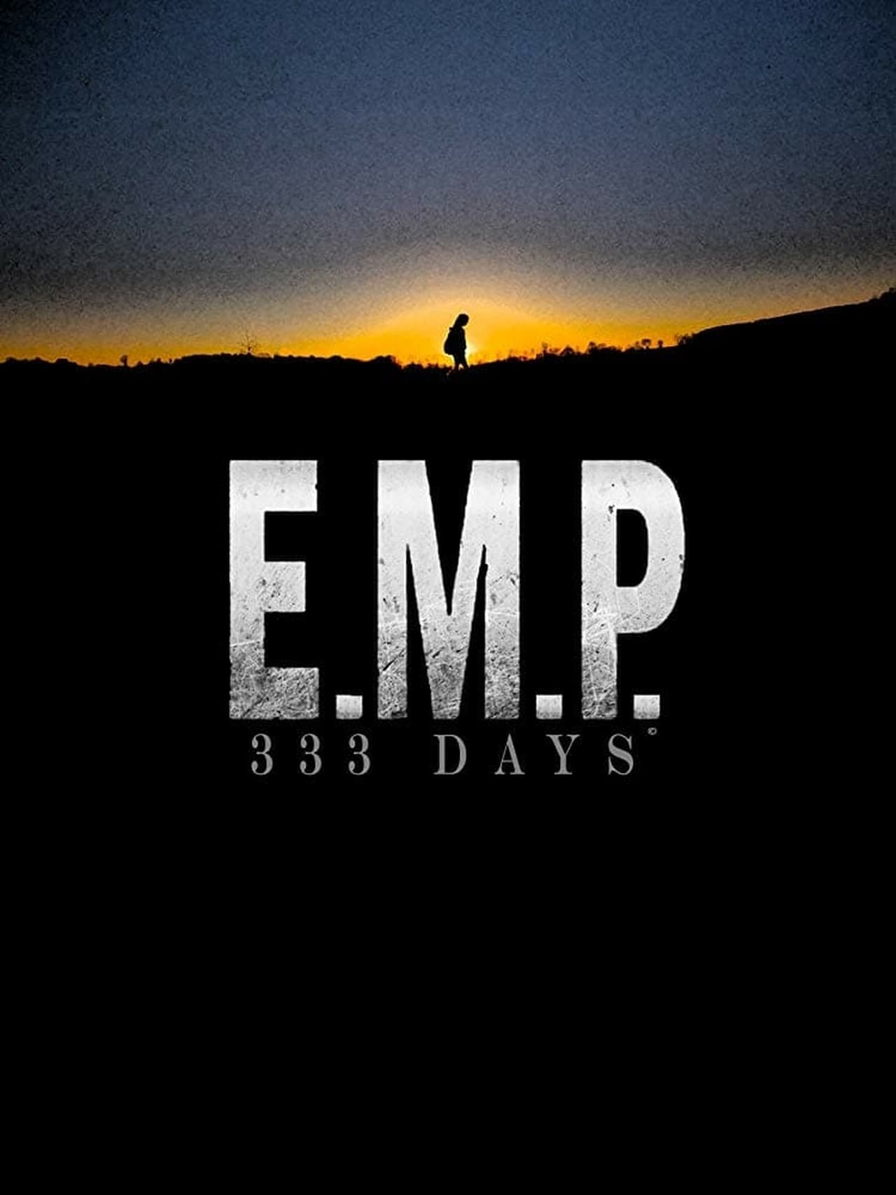 Movies E.M.P. 333 Days