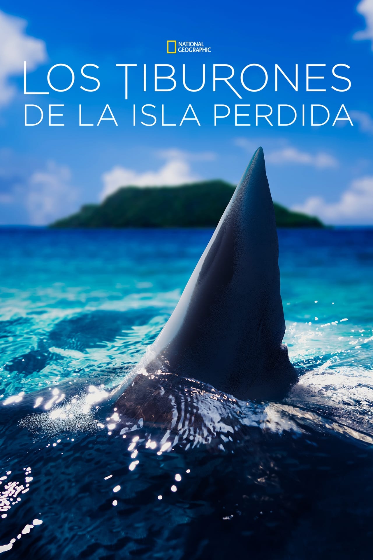 Movie Los tiburones de las islas Pitcairn