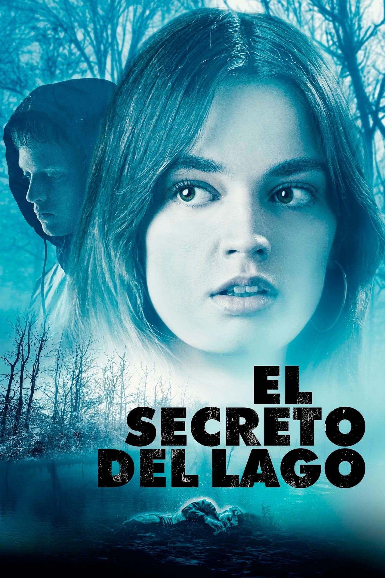 Películas El secreto del lago