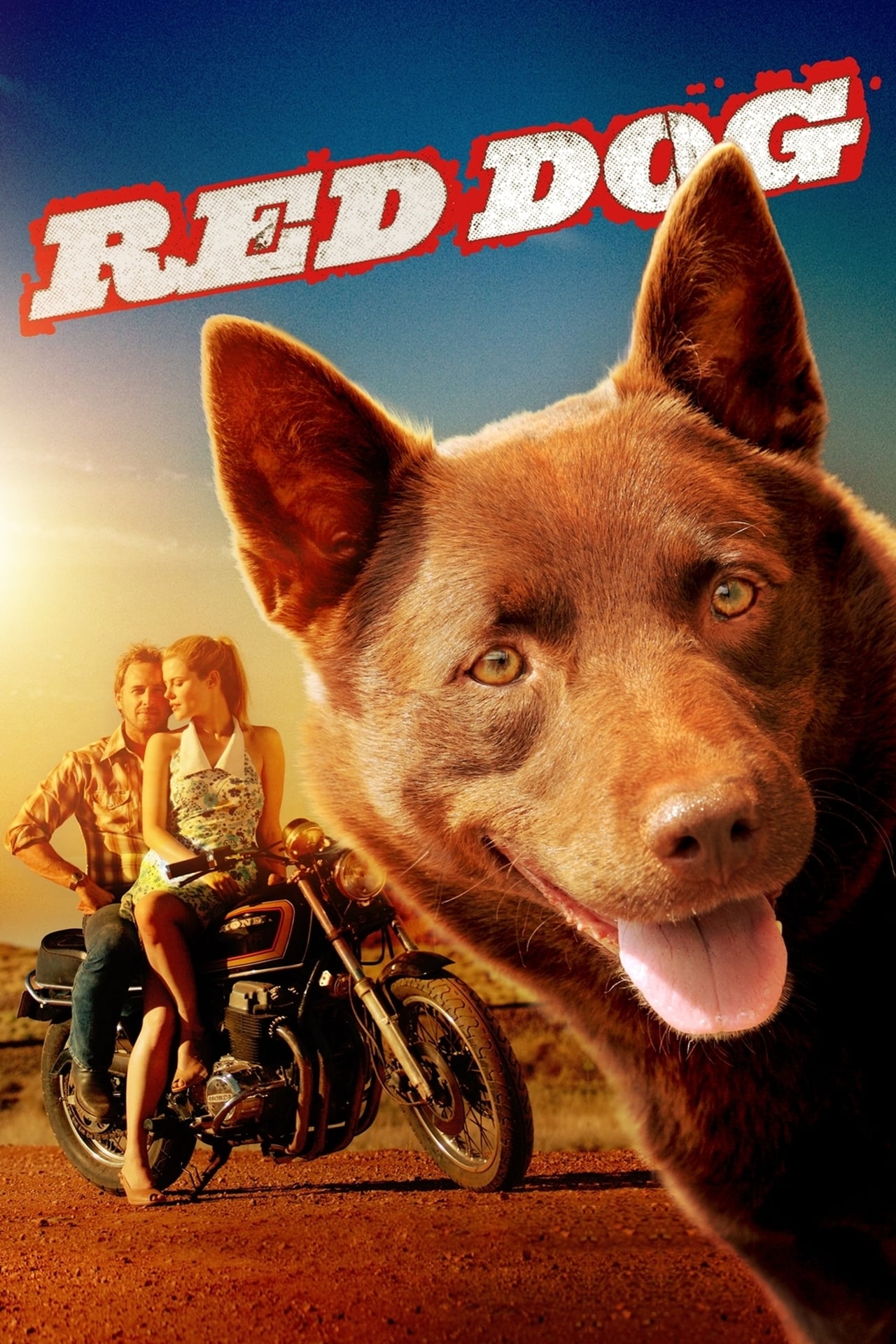 Movie Red Dog, una historia de lealtad