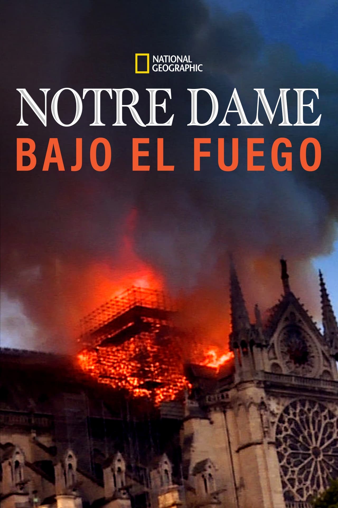 Películas Notre Dame: La increíble carrera contra el infierno