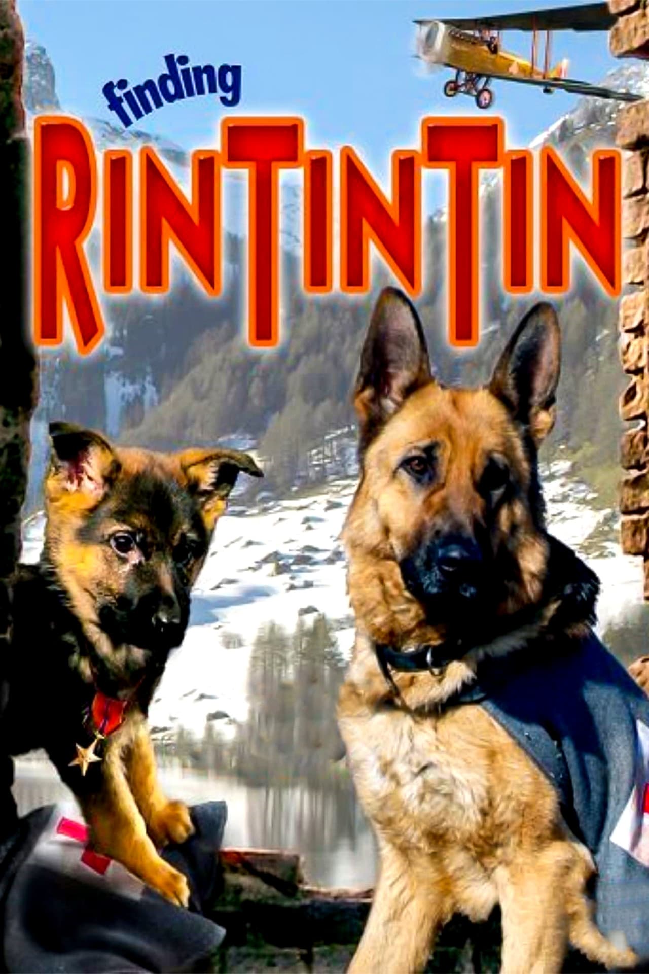 Película Las nuevas aventuras de Rin-Tin-Tin