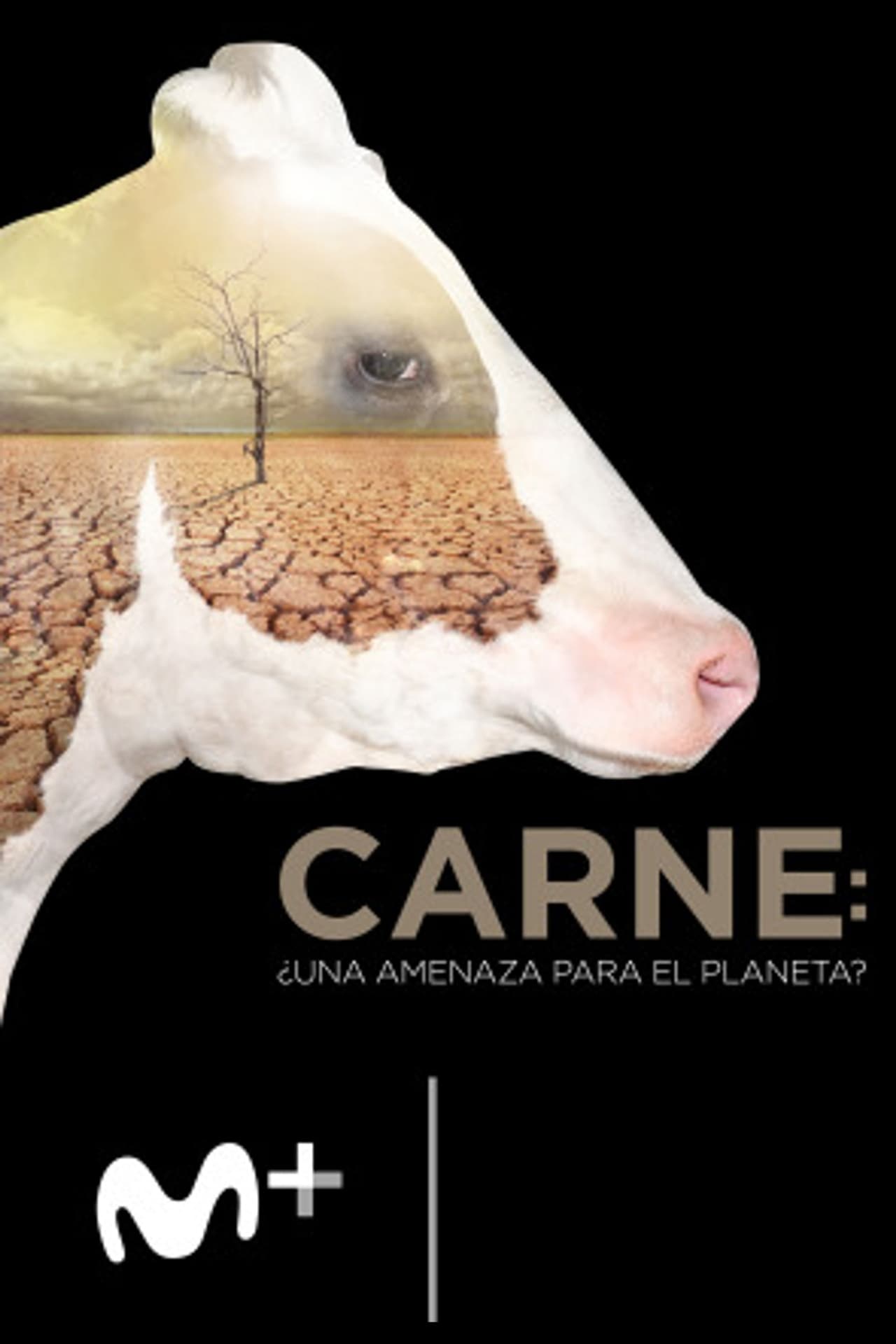 Película Carne: ¿una amenaza para el planeta?