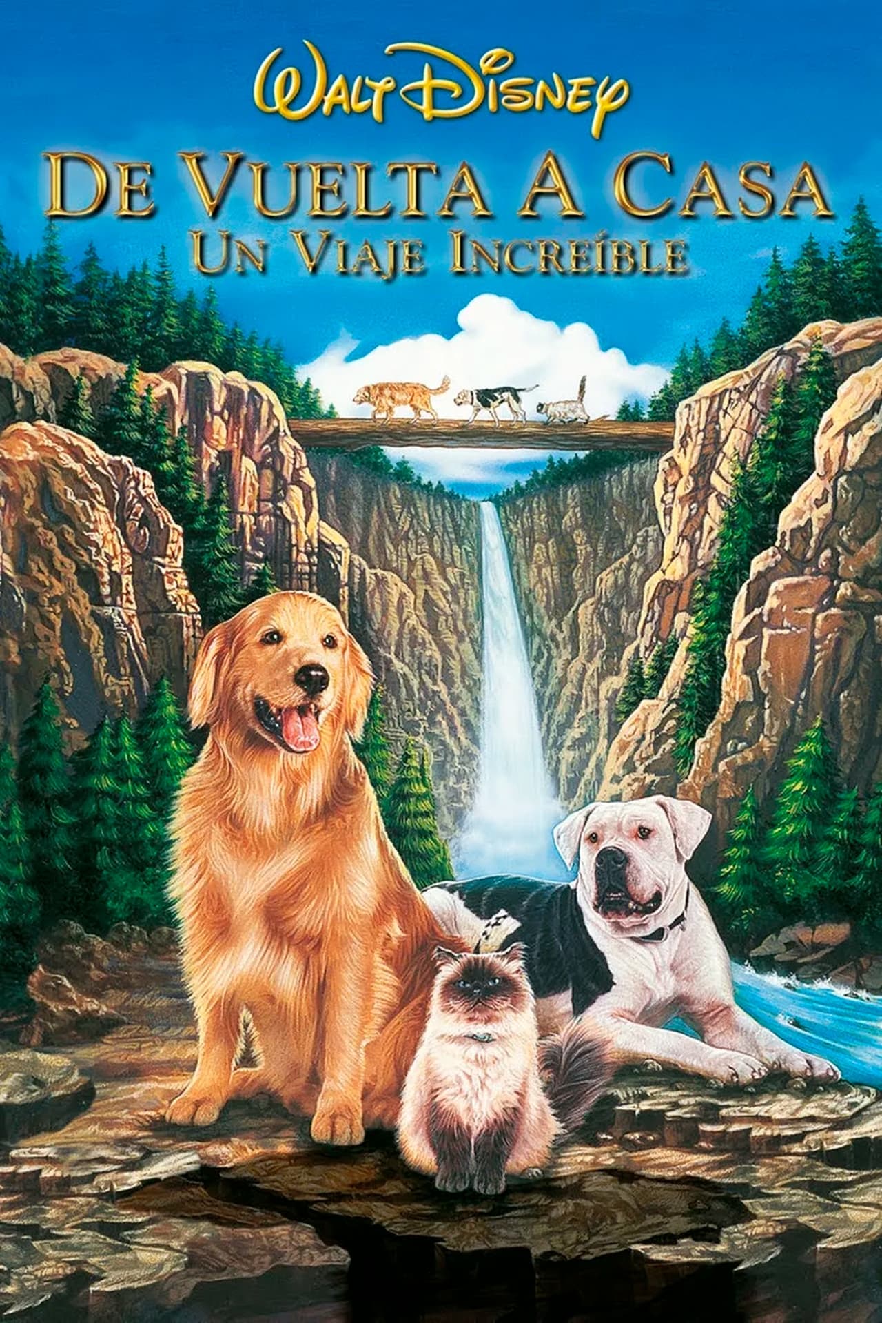 Movie De vuelta a casa: Un viaje increíble