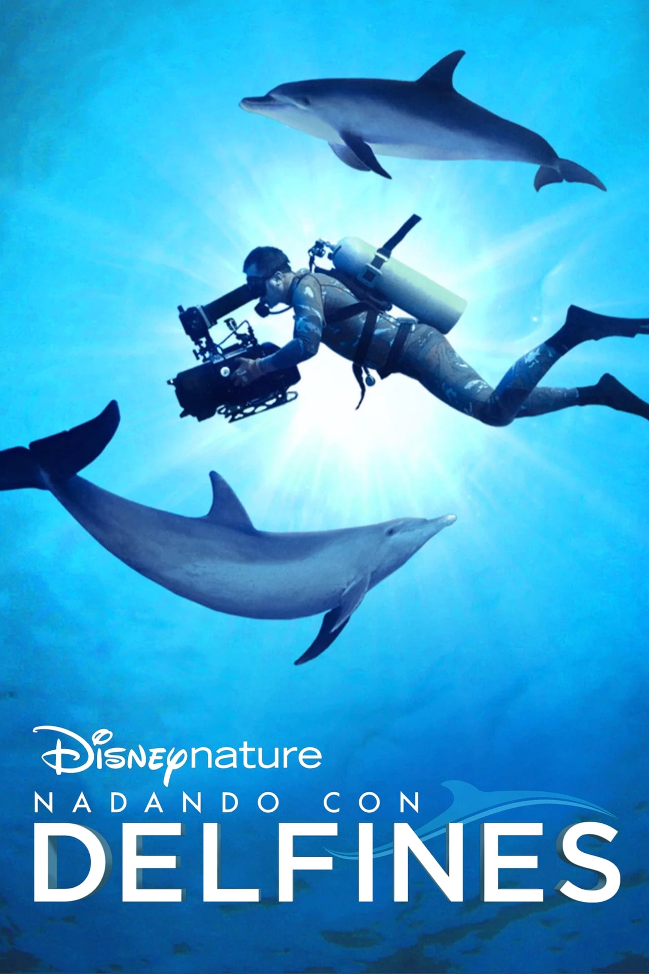 Movie Nadando con delfines