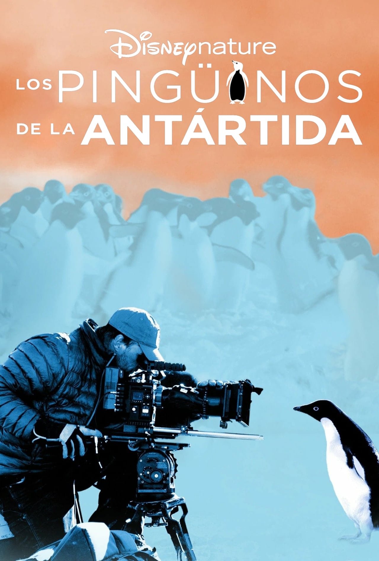 Movie Los pingüinos de la Antártida