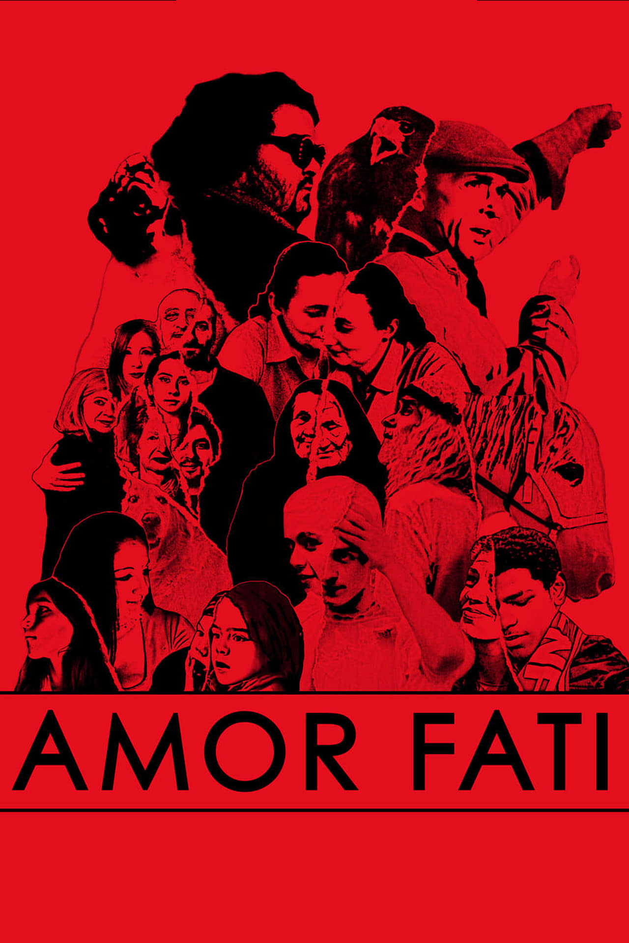 Películas Amor Fati