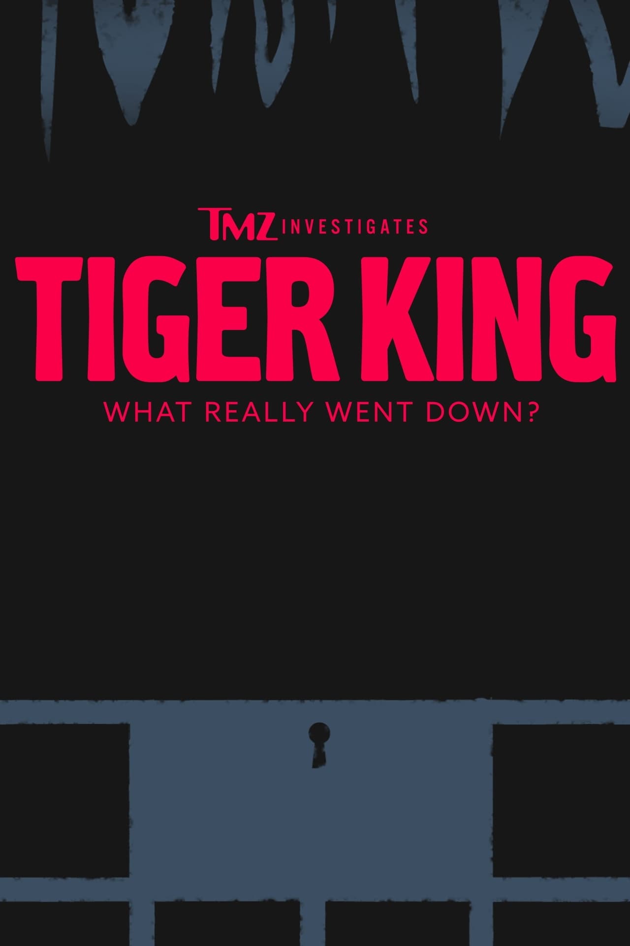 Movie TMZ Investigates: Tiger King - What Really Went Down