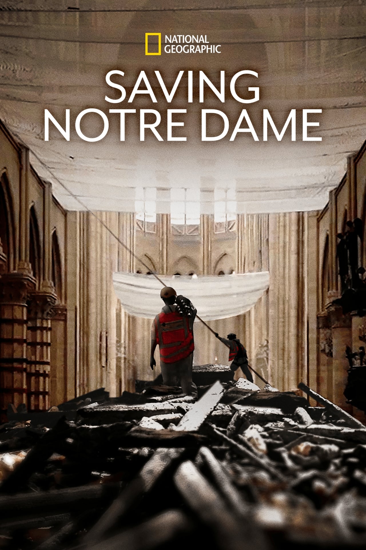 Movies Salvar Notre-Dame