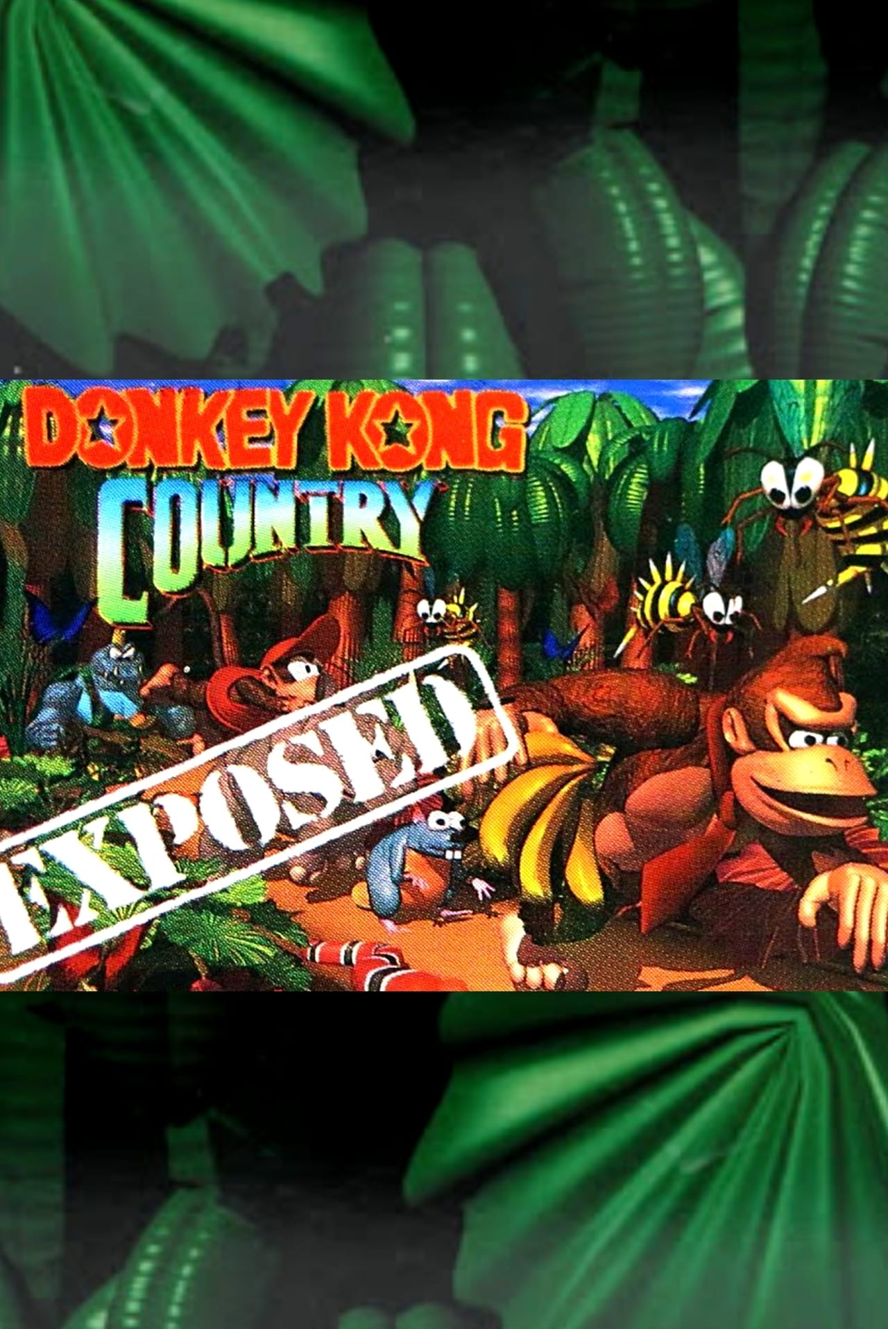 Película Donkey Kong Country: Exposed