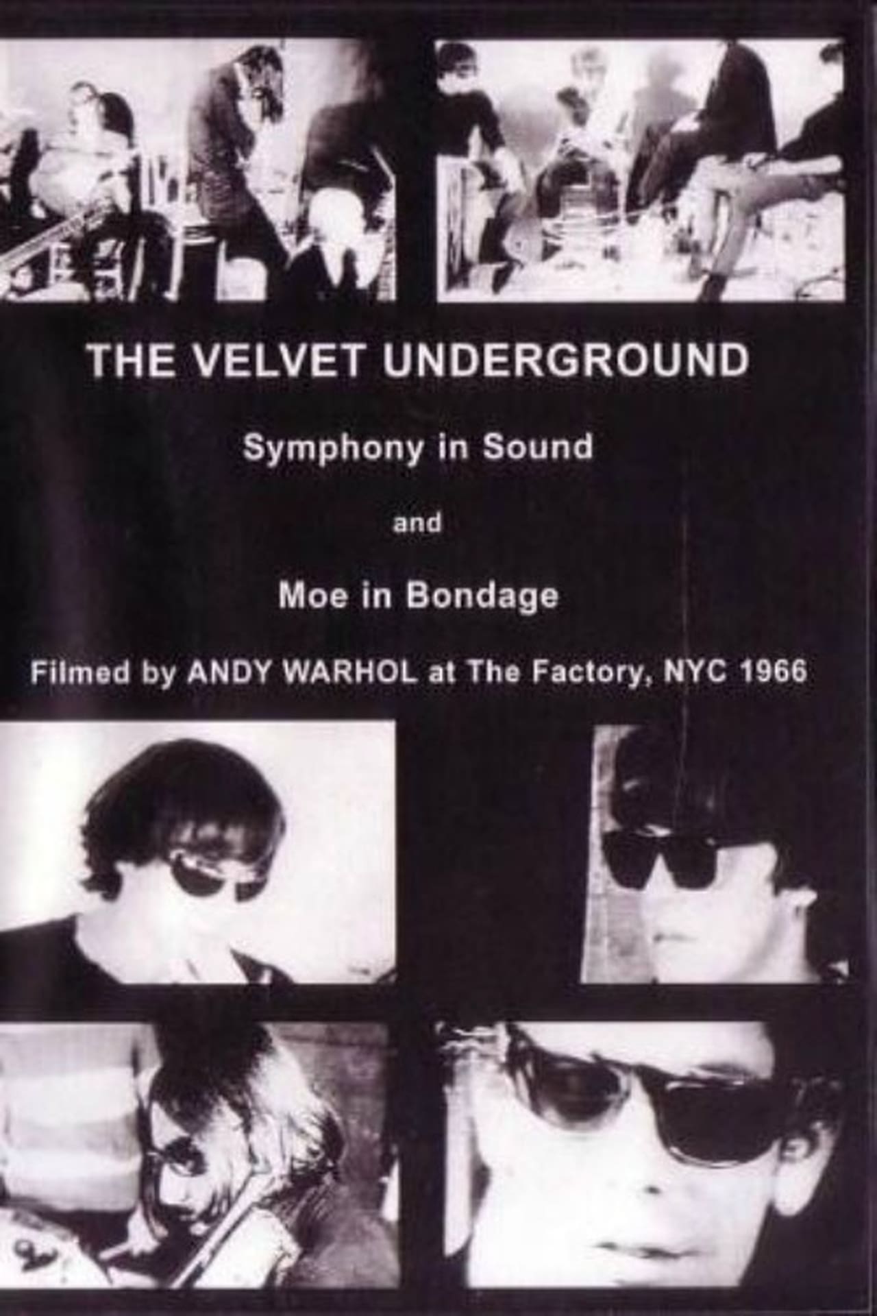 Movie The Velvet Underground and Nico: A Symphony of Sound