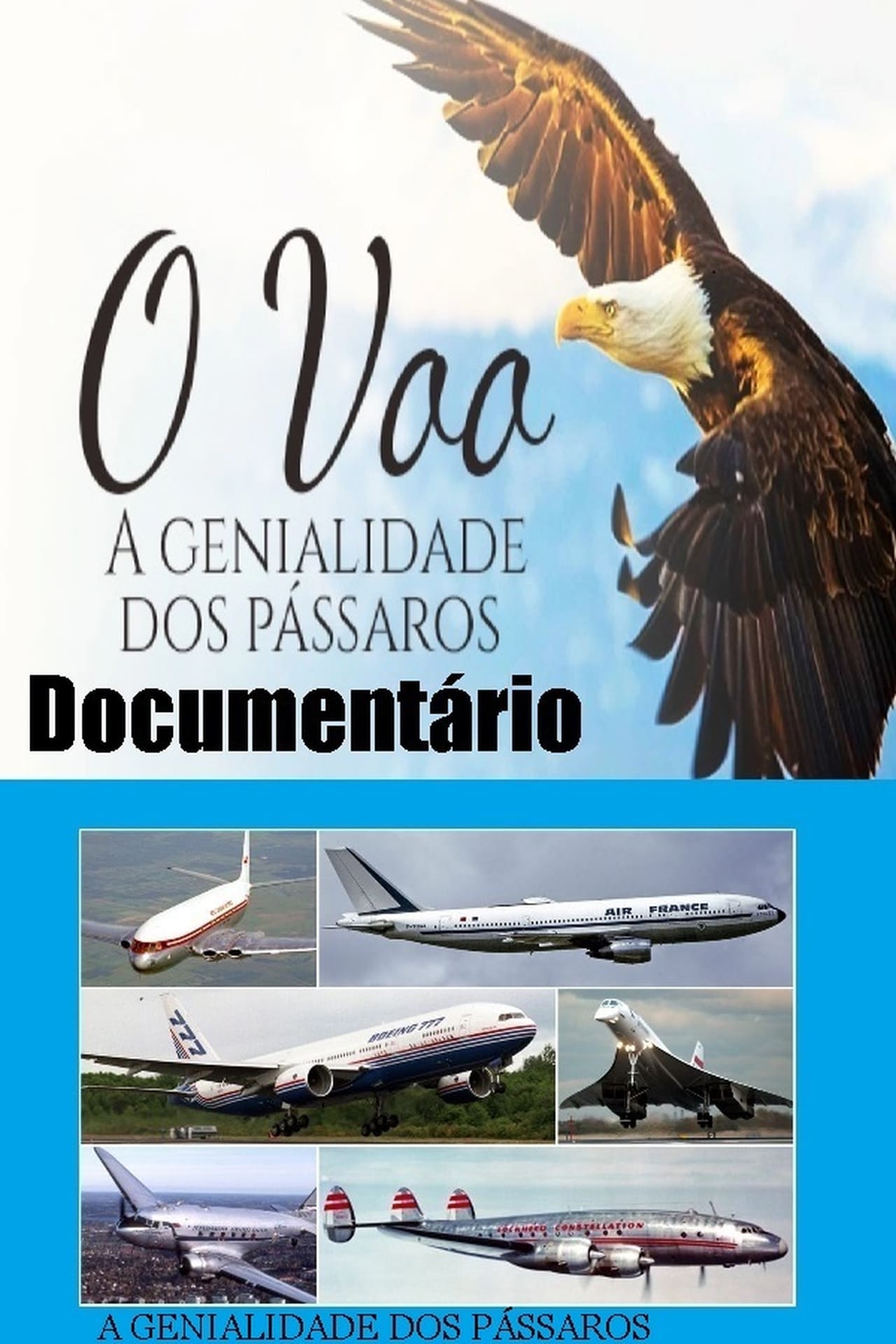 Películas Documentário O voo