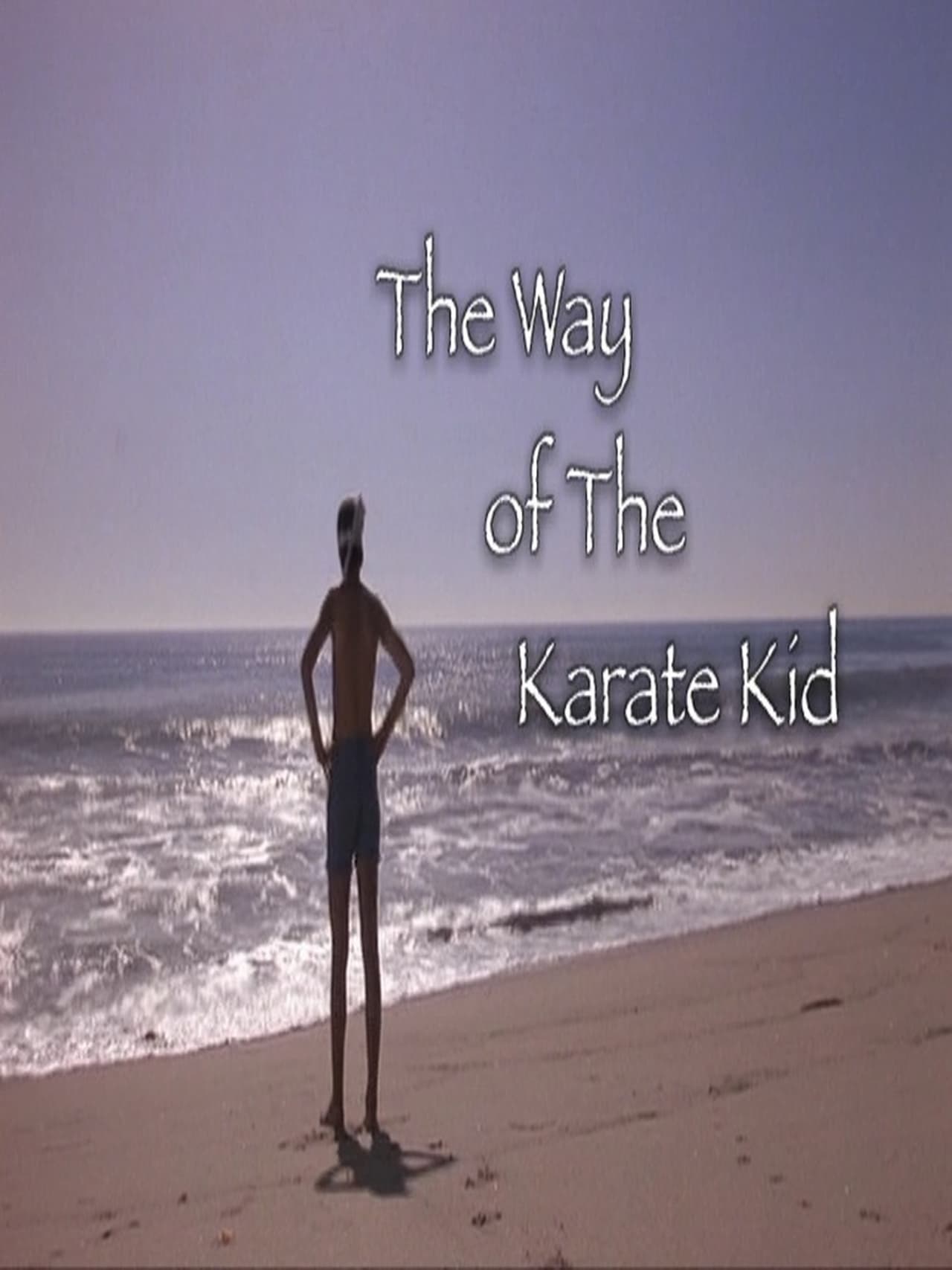 Película The Way of The Karate Kid