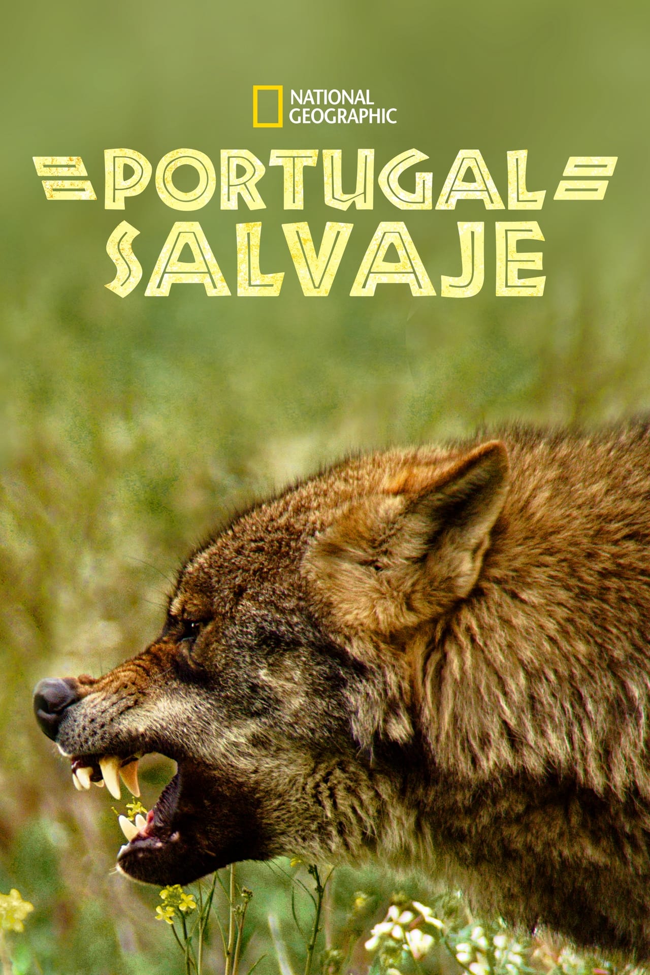 Movies Portugal Salvaje