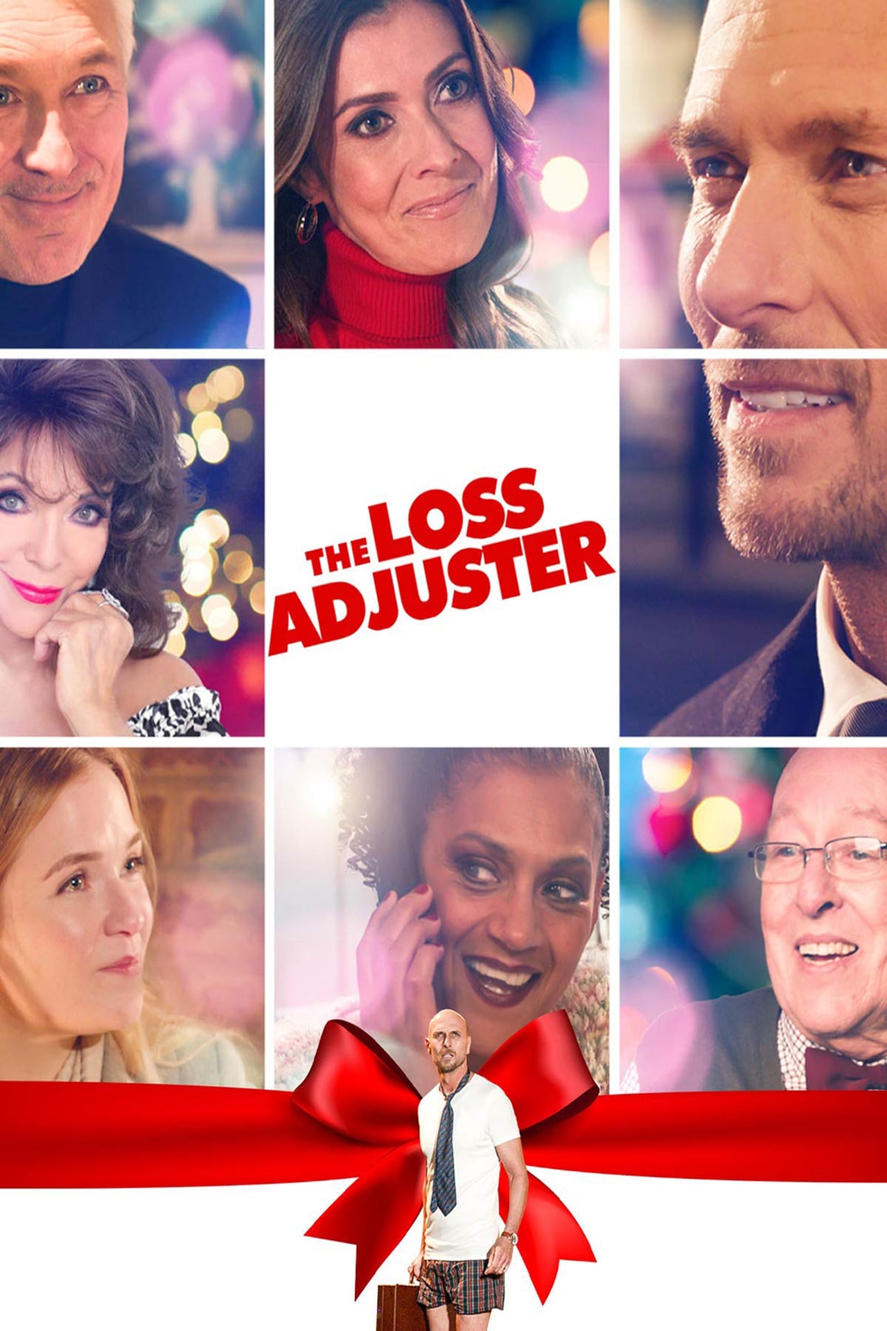 Movies The Loss Adjuster