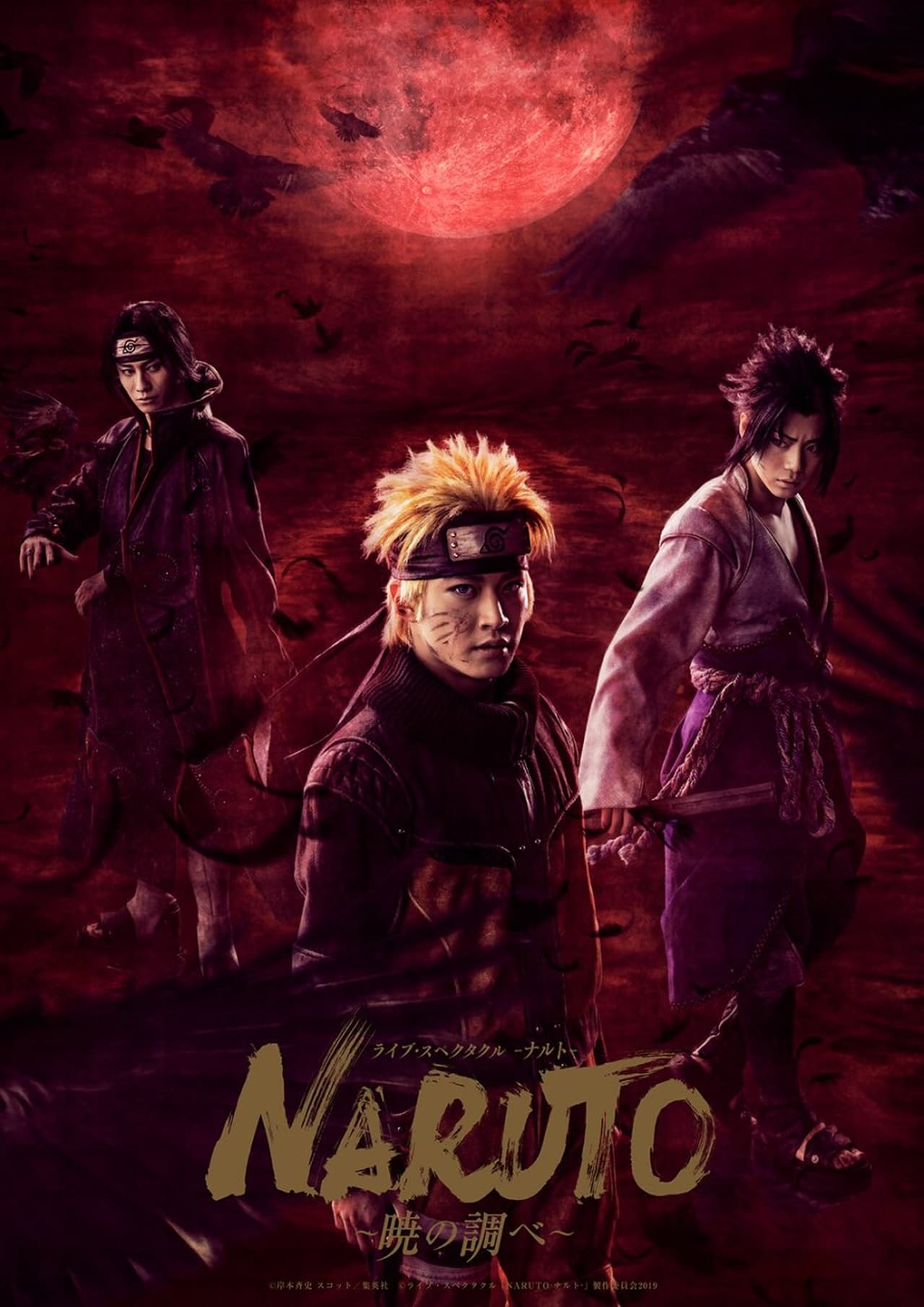 Películas ライブ・スペクタクル NARUTO -ナルト- 〜暁の調べ〜